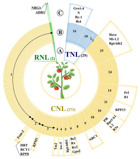 Genes 12 00184 g001 550