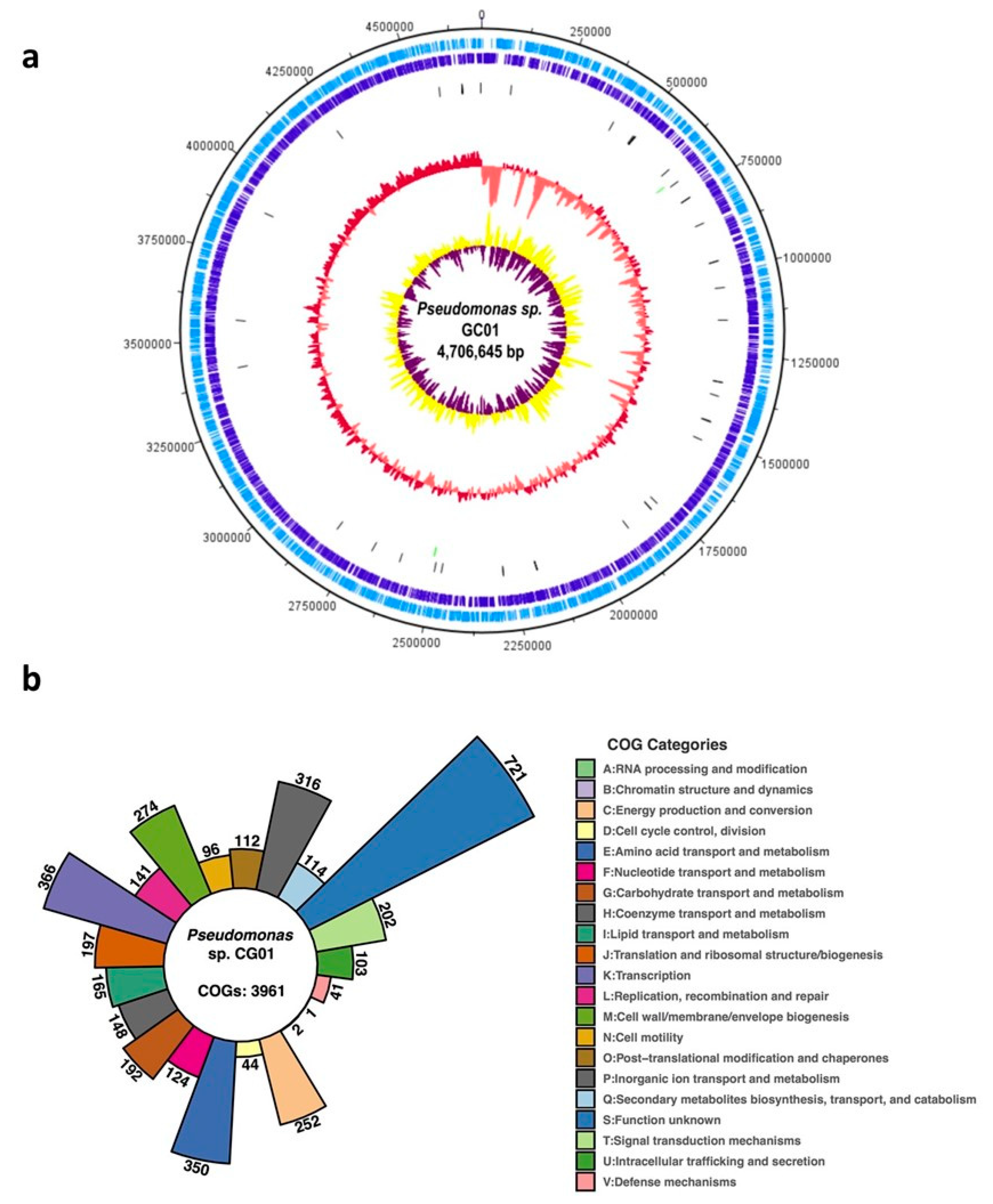 Genes 12 00187 g001 Genes 12 00187 g001