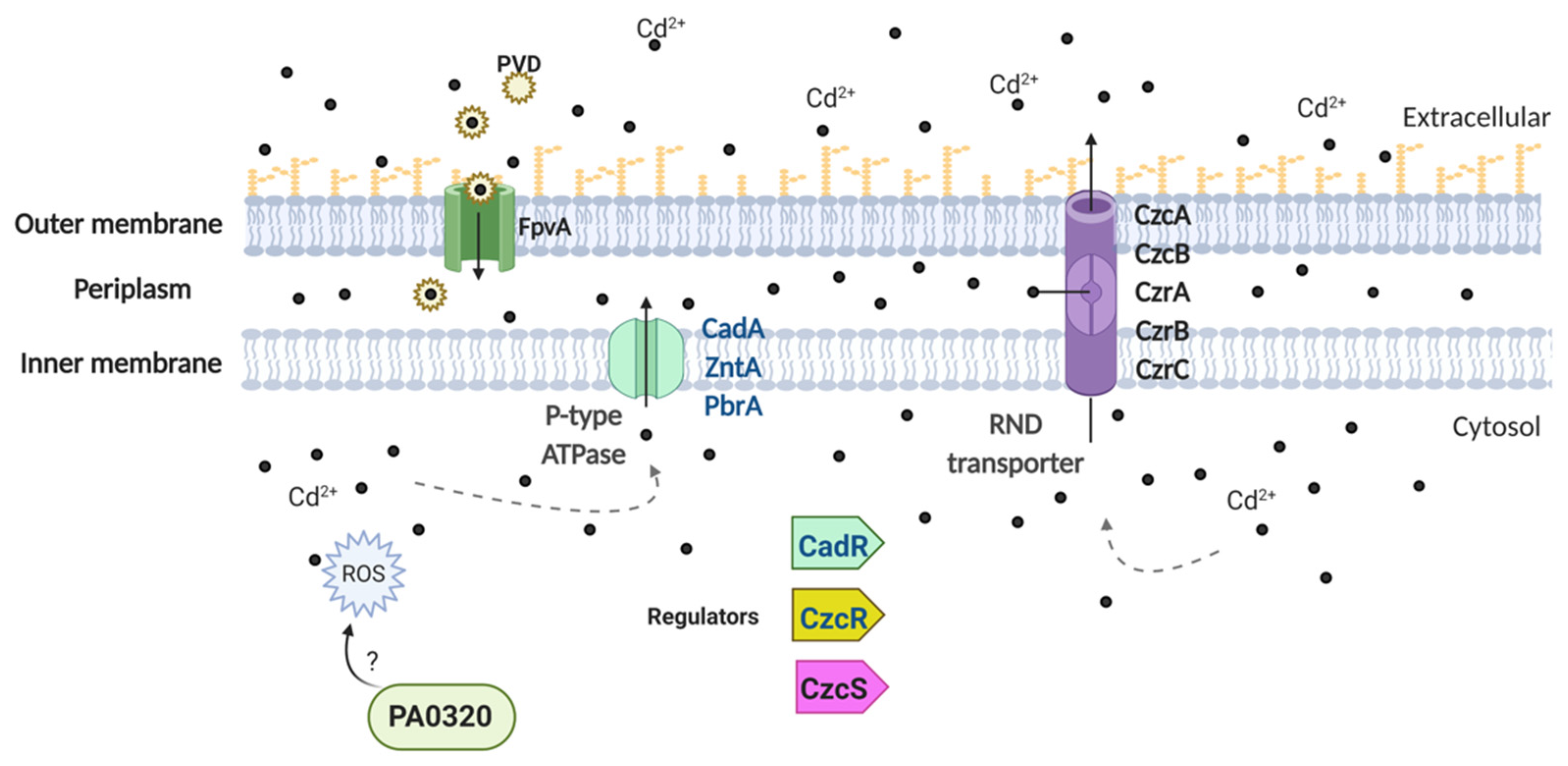 Genes 12 00187 g005 Genes 12 00187 g005