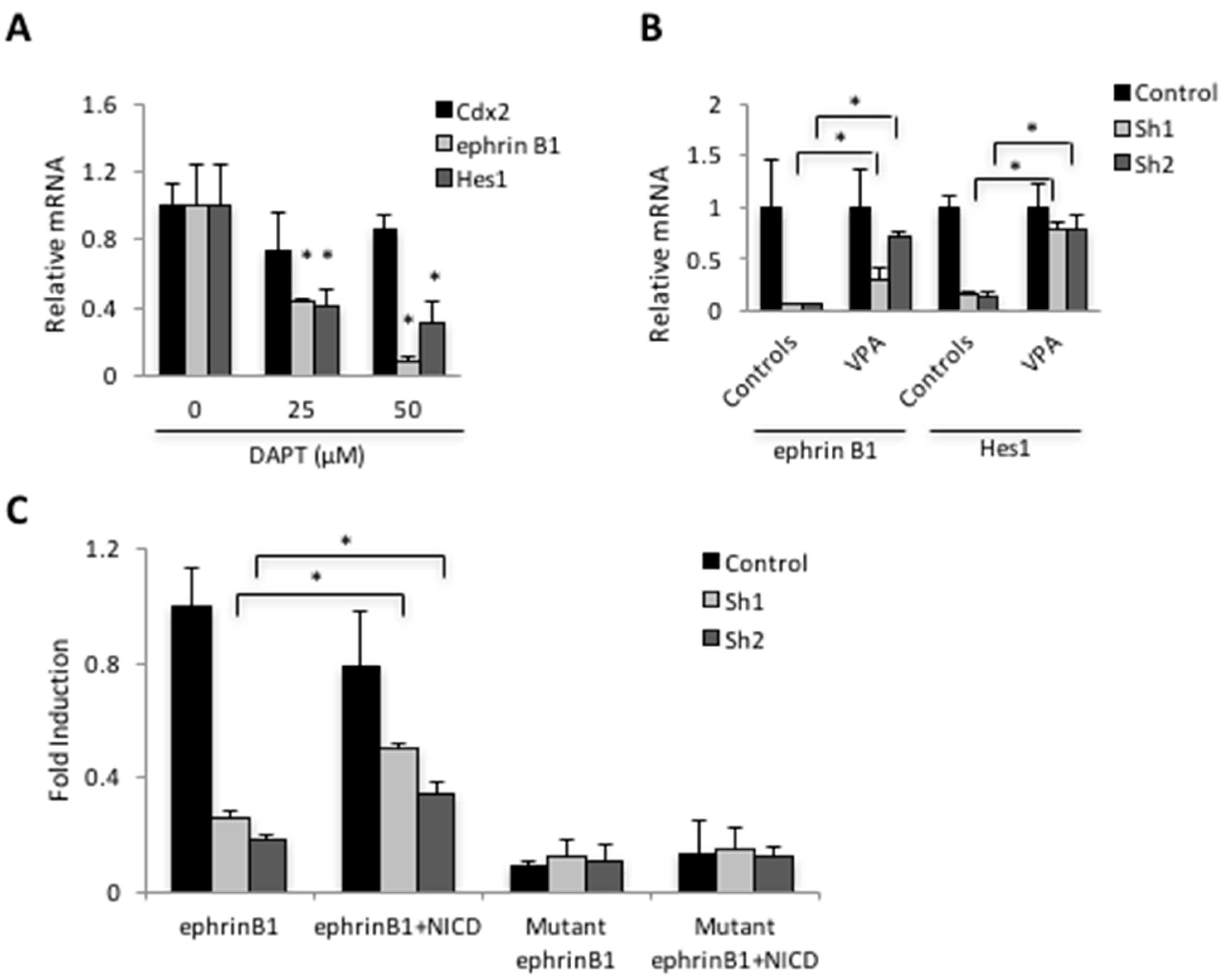 Genes 12 00188 g004 Genes 12 00188 g004