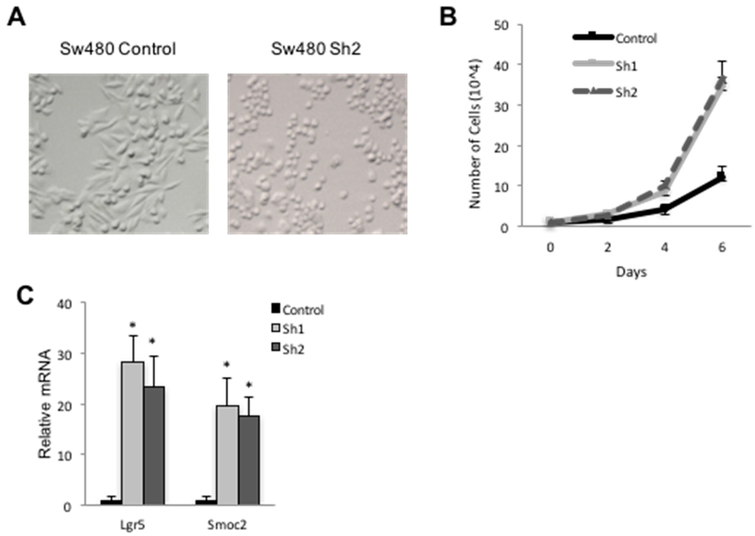 Genes 12 00188 g005 Genes 12 00188 g005