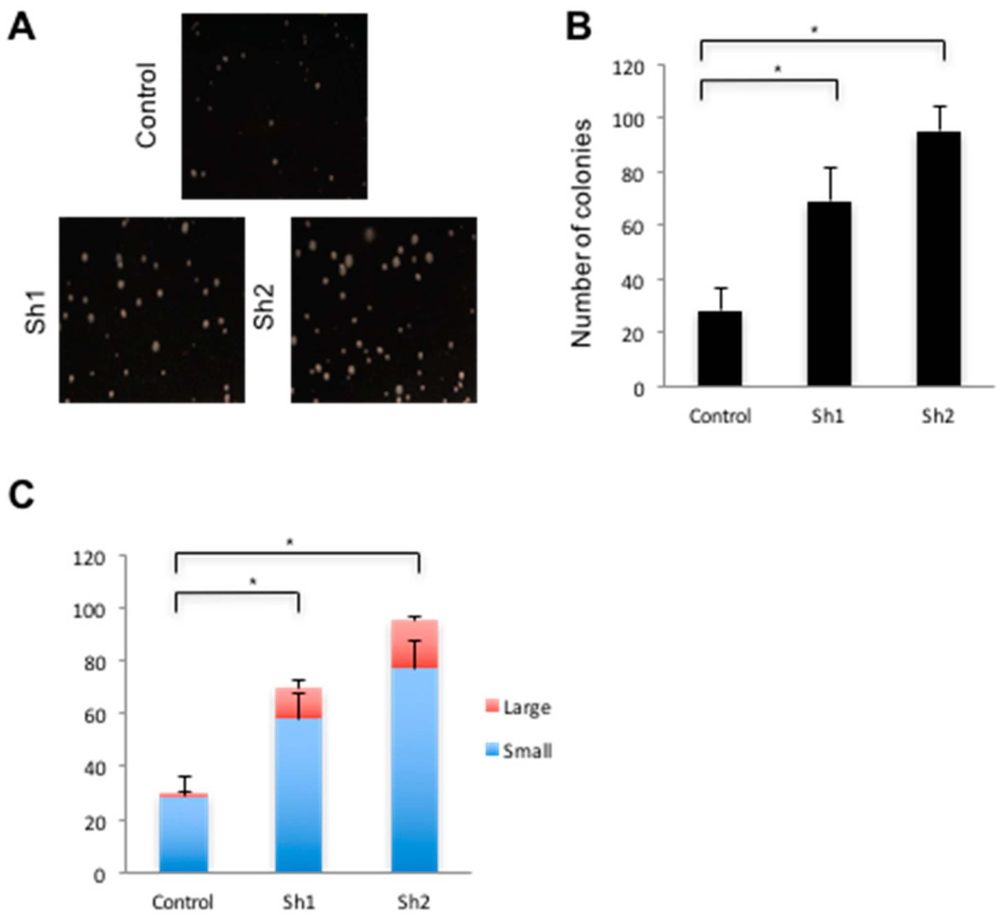 Genes 12 00188 g006 Genes 12 00188 g006