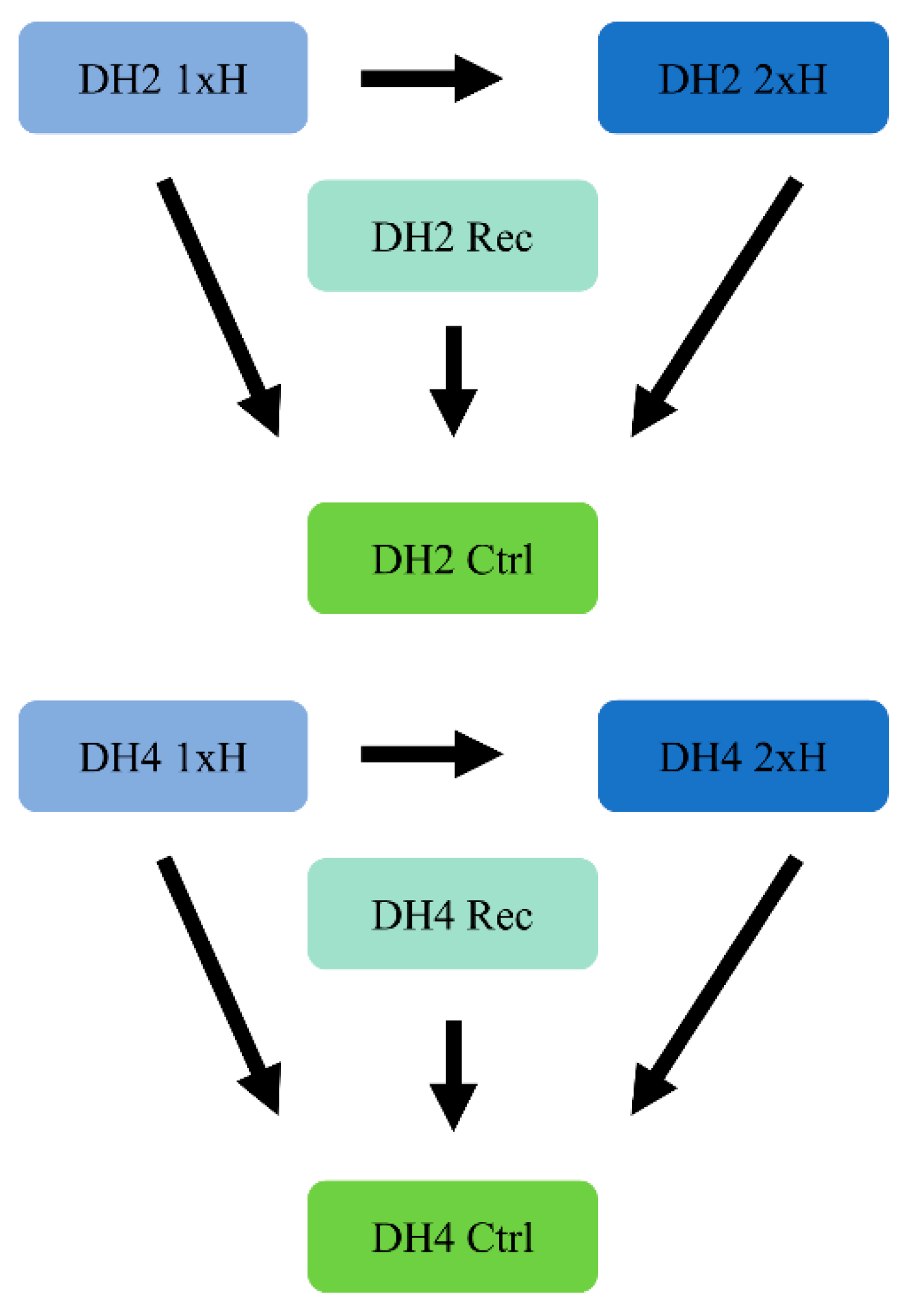 Genes 12 00189 g002 Genes 12 00189 g002