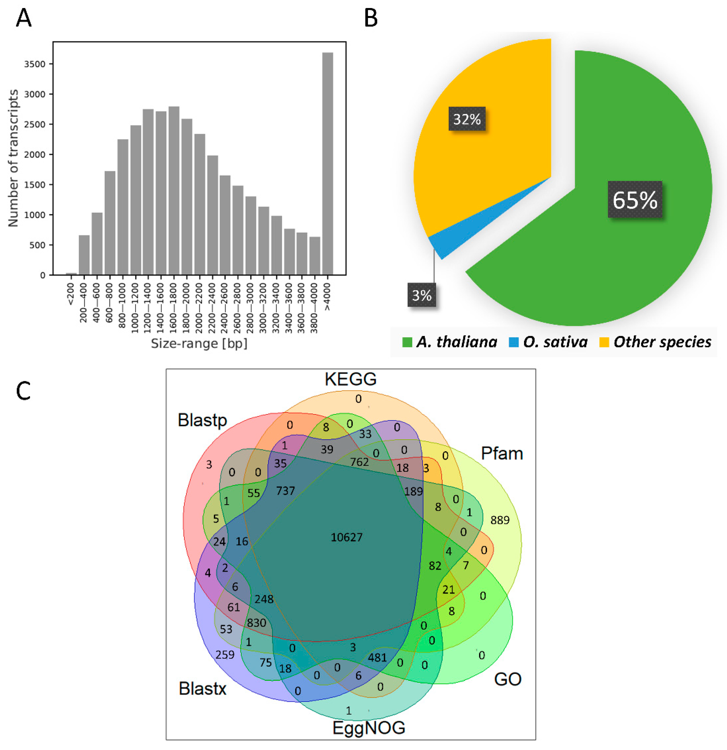 Genes 12 00189 g005 Genes 12 00189 g005