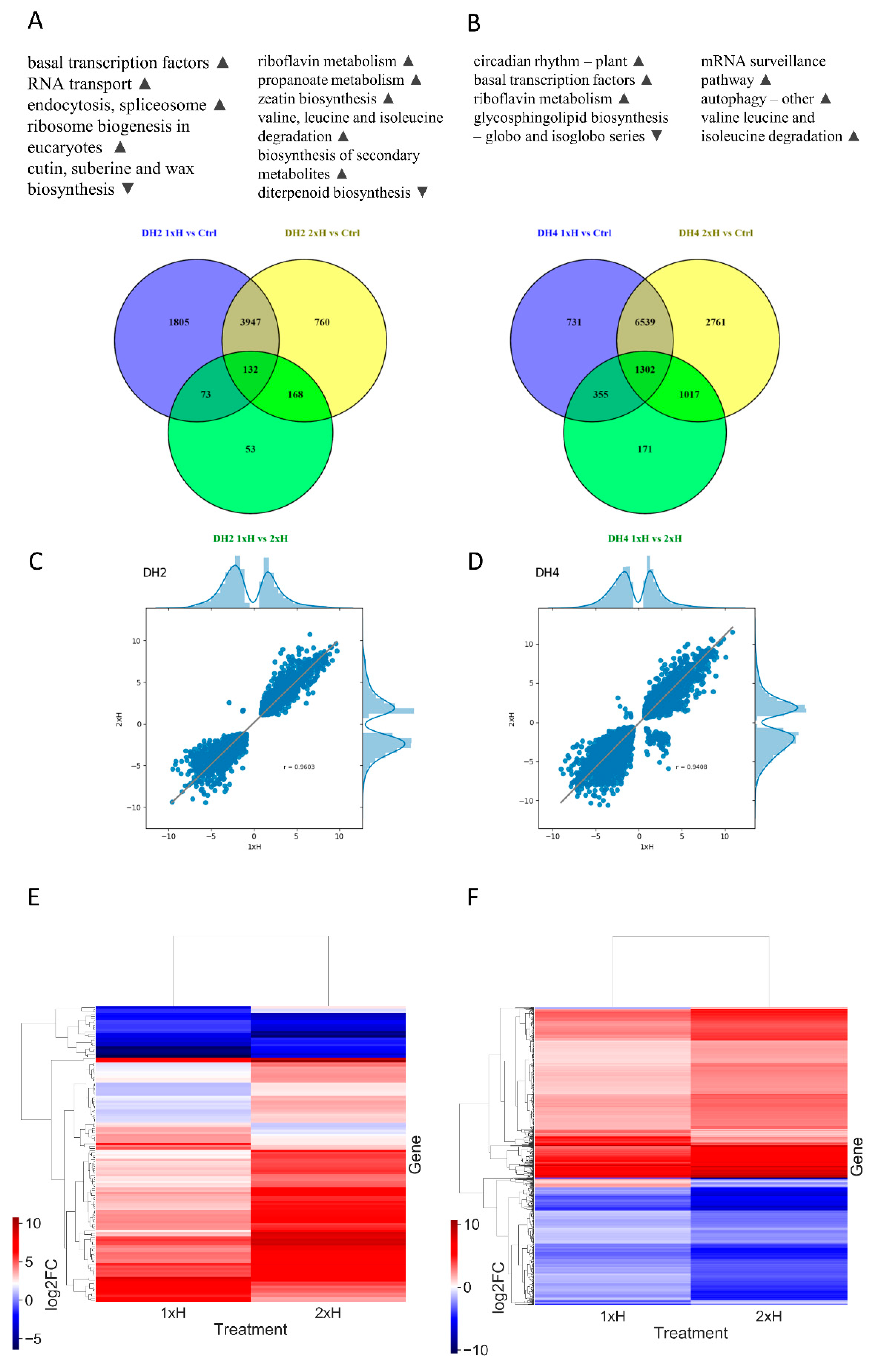 Genes 12 00189 g008 Genes 12 00189 g008