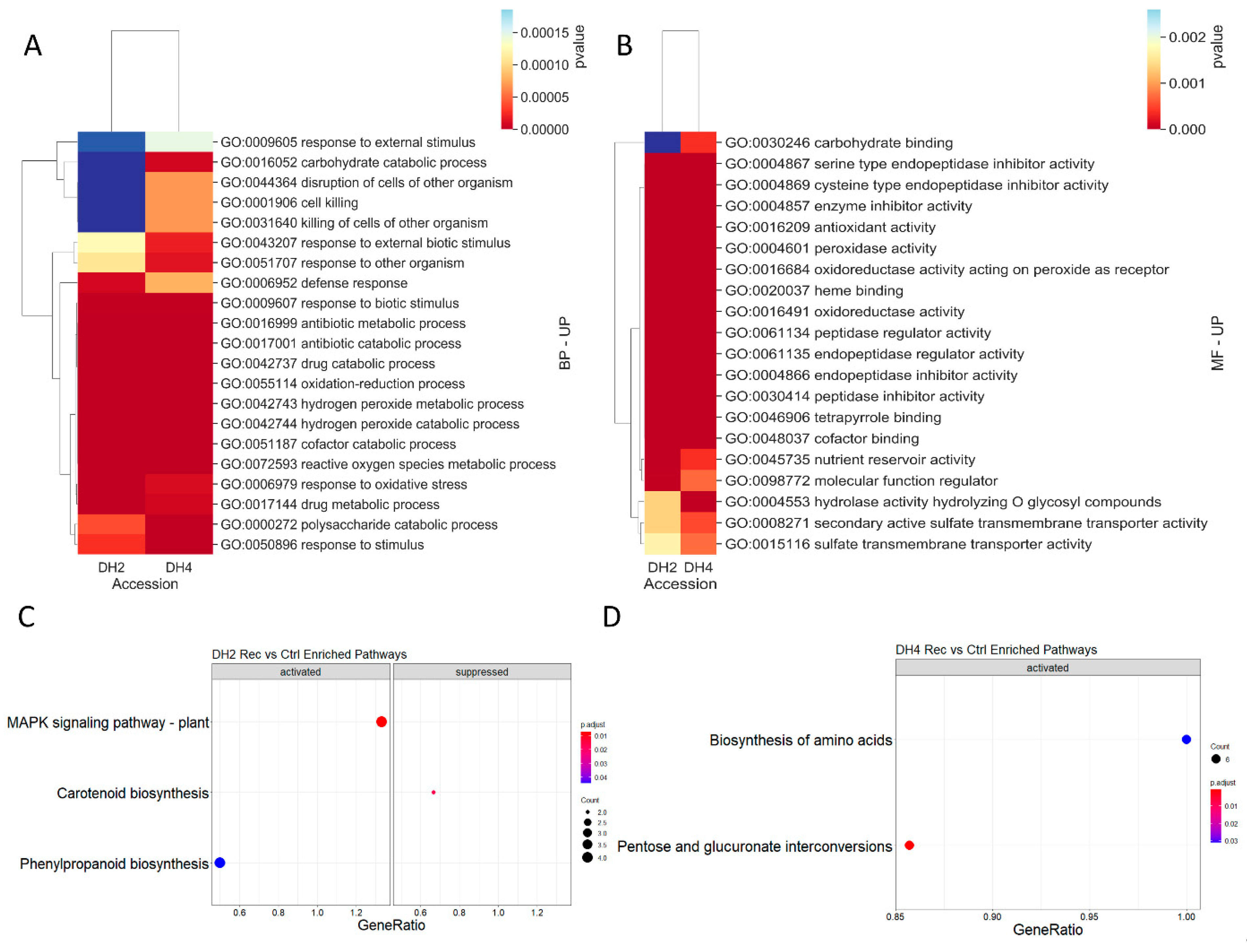 Genes 12 00189 g010 Genes 12 00189 g010