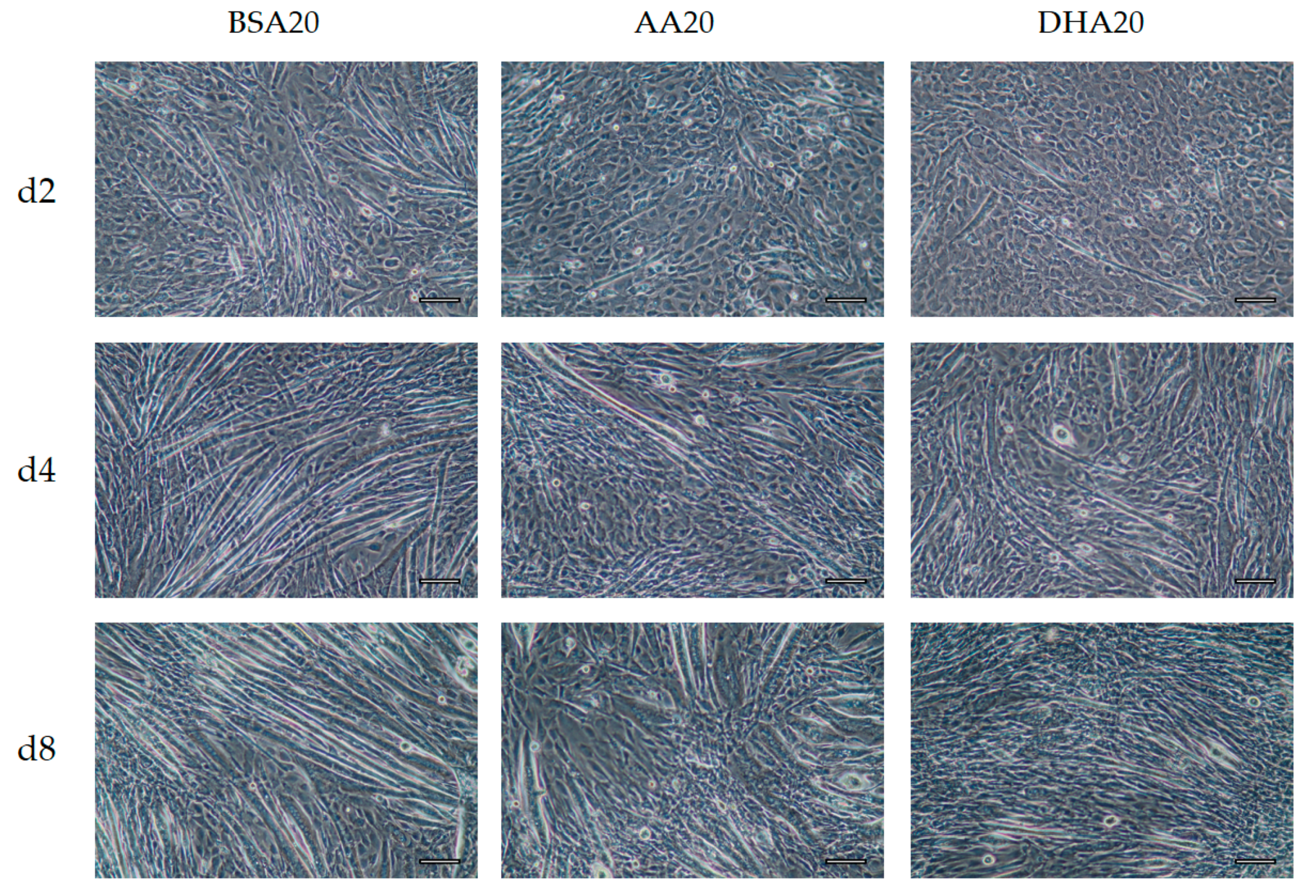Genes 12 00192 g005 Genes 12 00192 g005