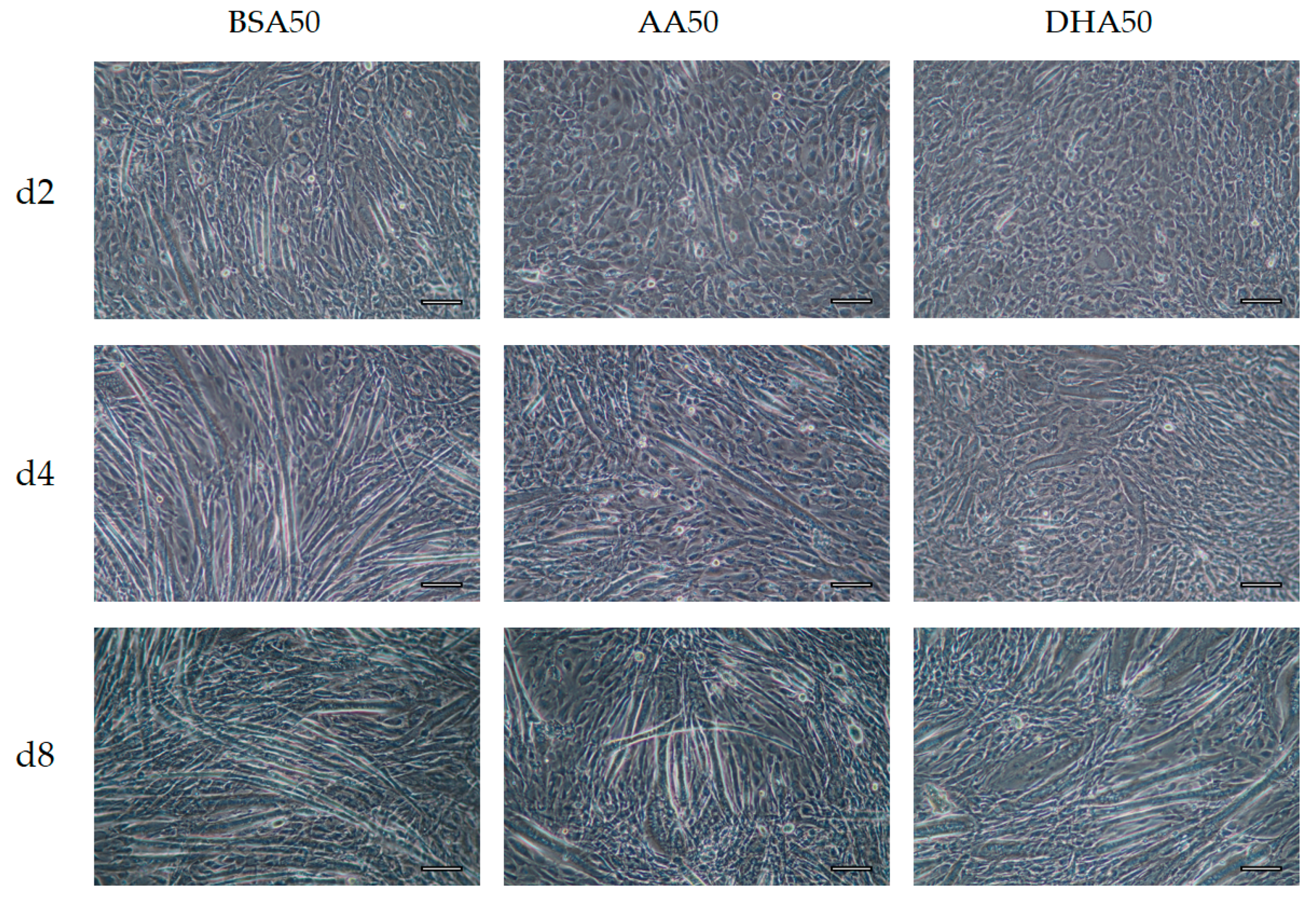Genes 12 00192 g006 Genes 12 00192 g006