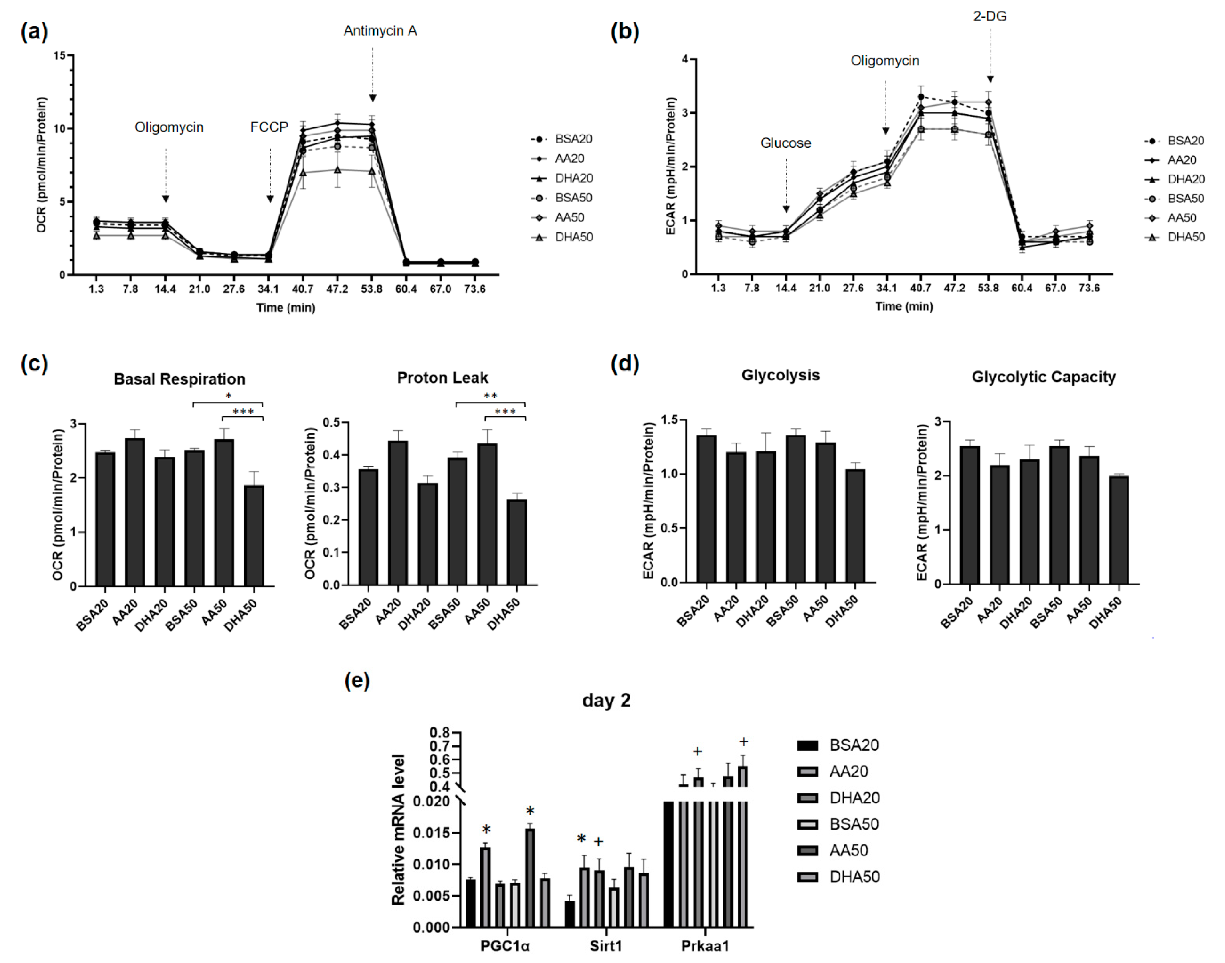 Genes 12 00192 g008 Genes 12 00192 g008