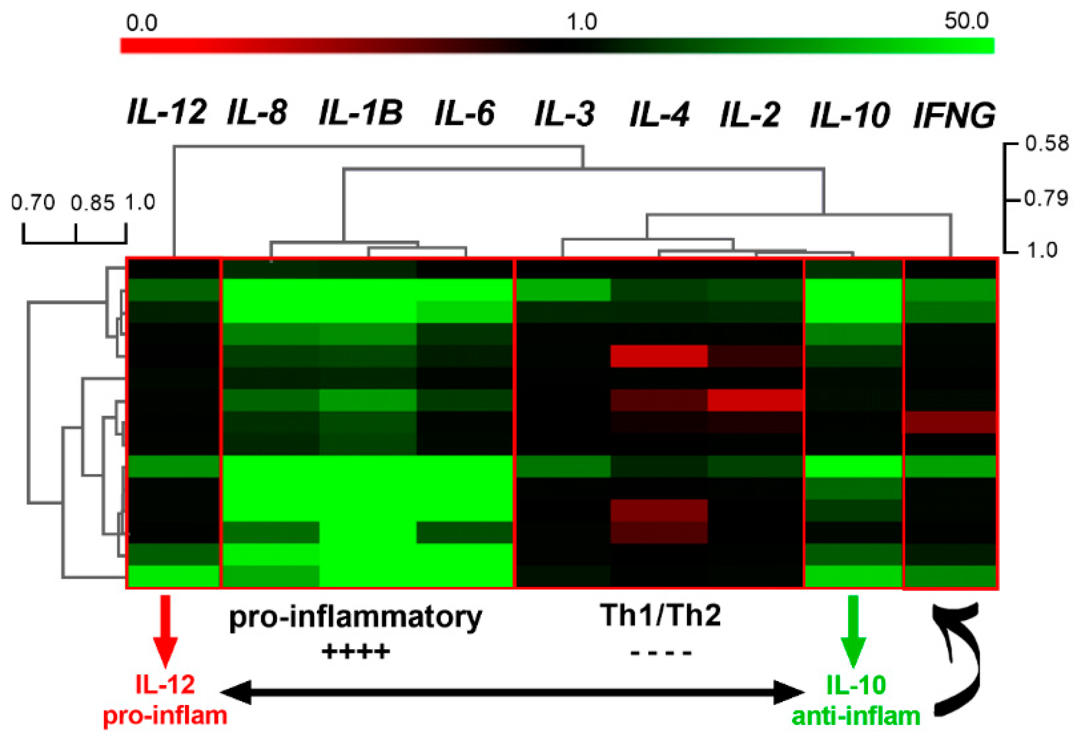 Genes 12 00195 g001 Genes 12 00195 g001