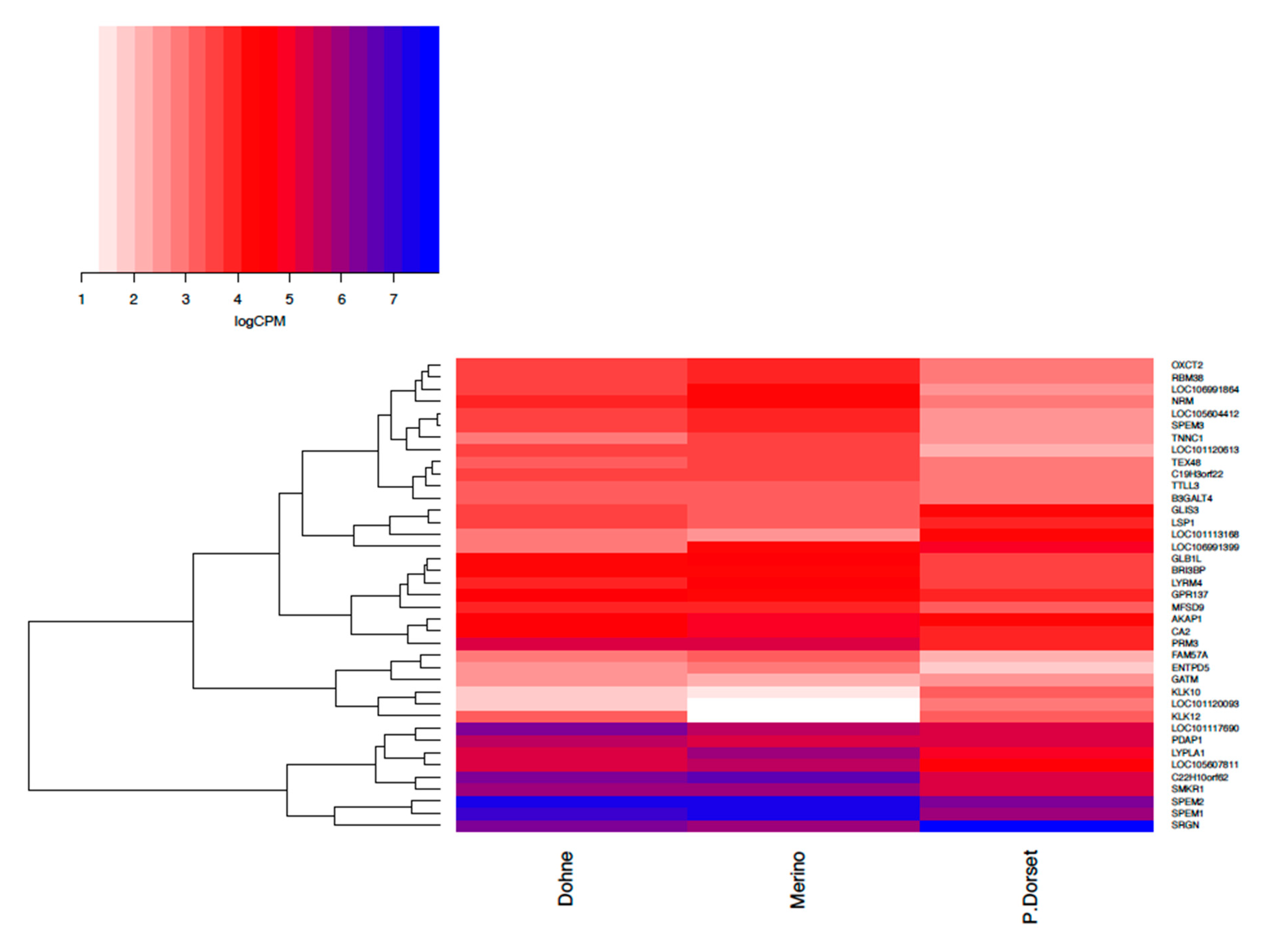 Genes 12 00203 g002 Genes 12 00203 g002
