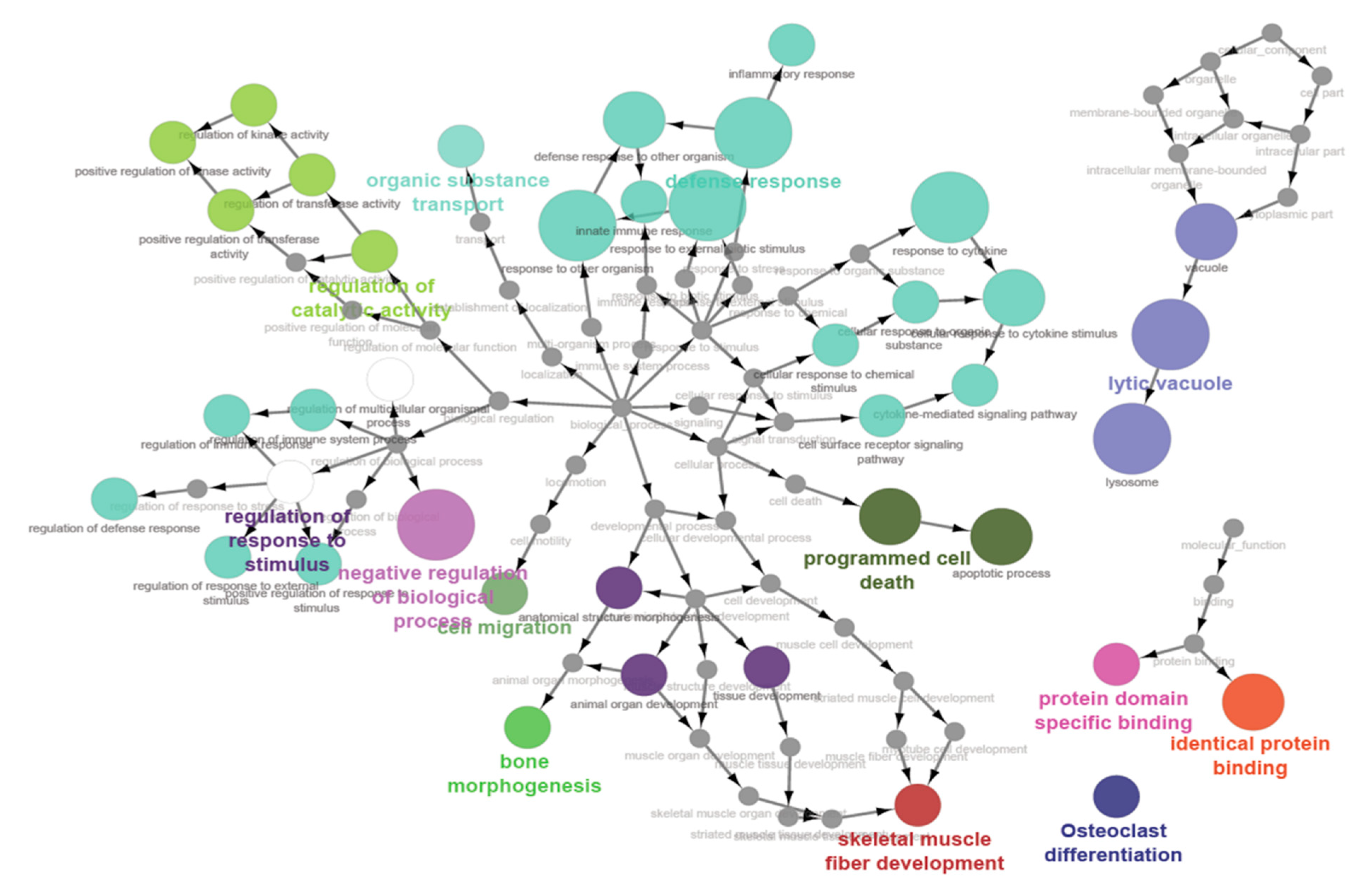 Genes 12 00203 g003 Genes 12 00203 g003