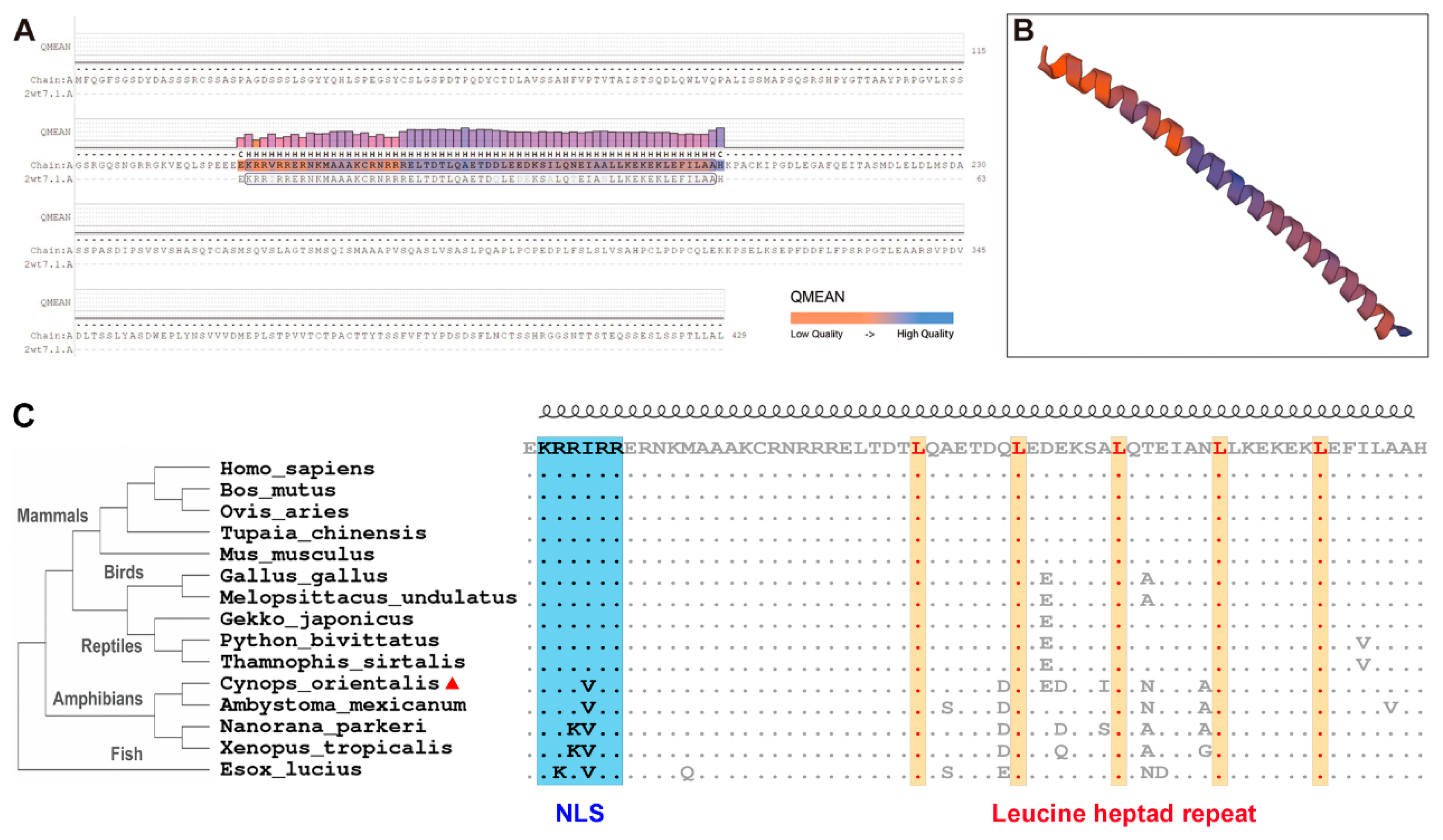 Genes 12 00205 g001 Genes 12 00205 g001