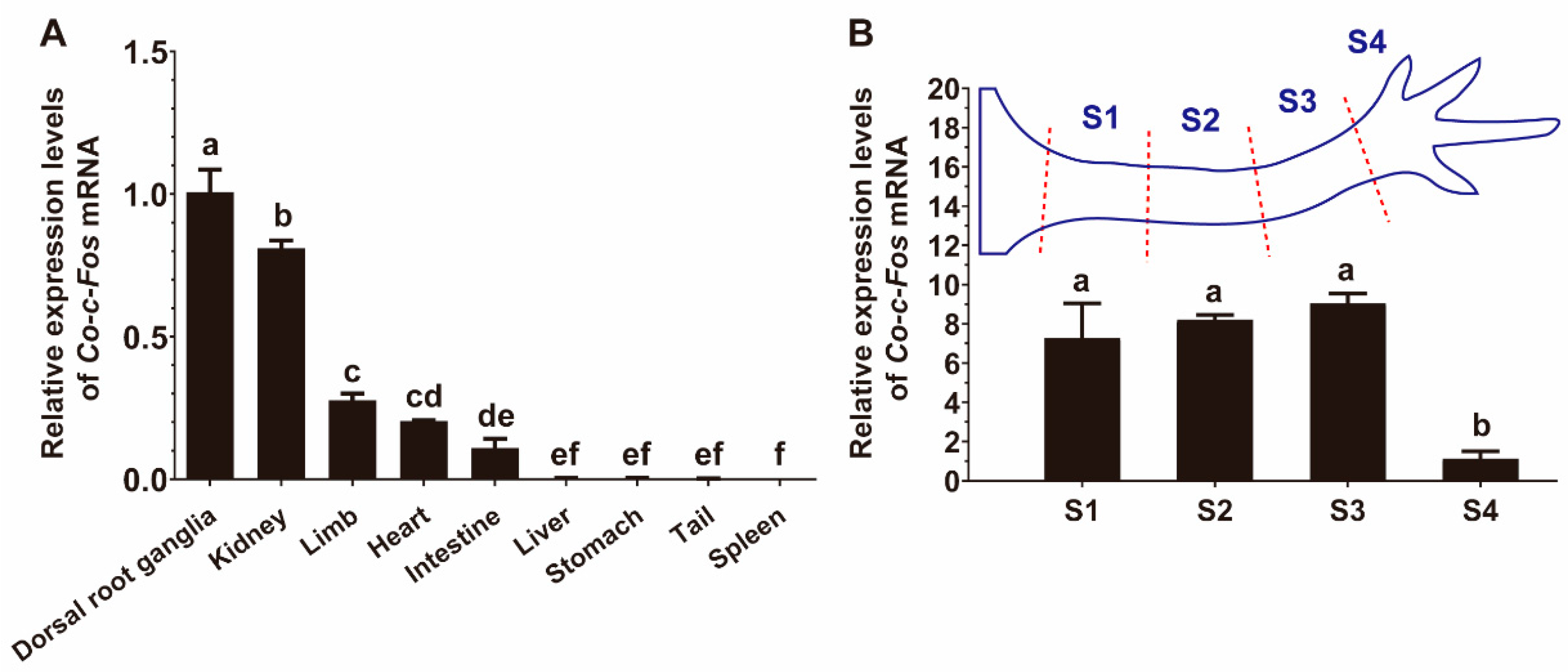 Genes 12 00205 g002 Genes 12 00205 g002