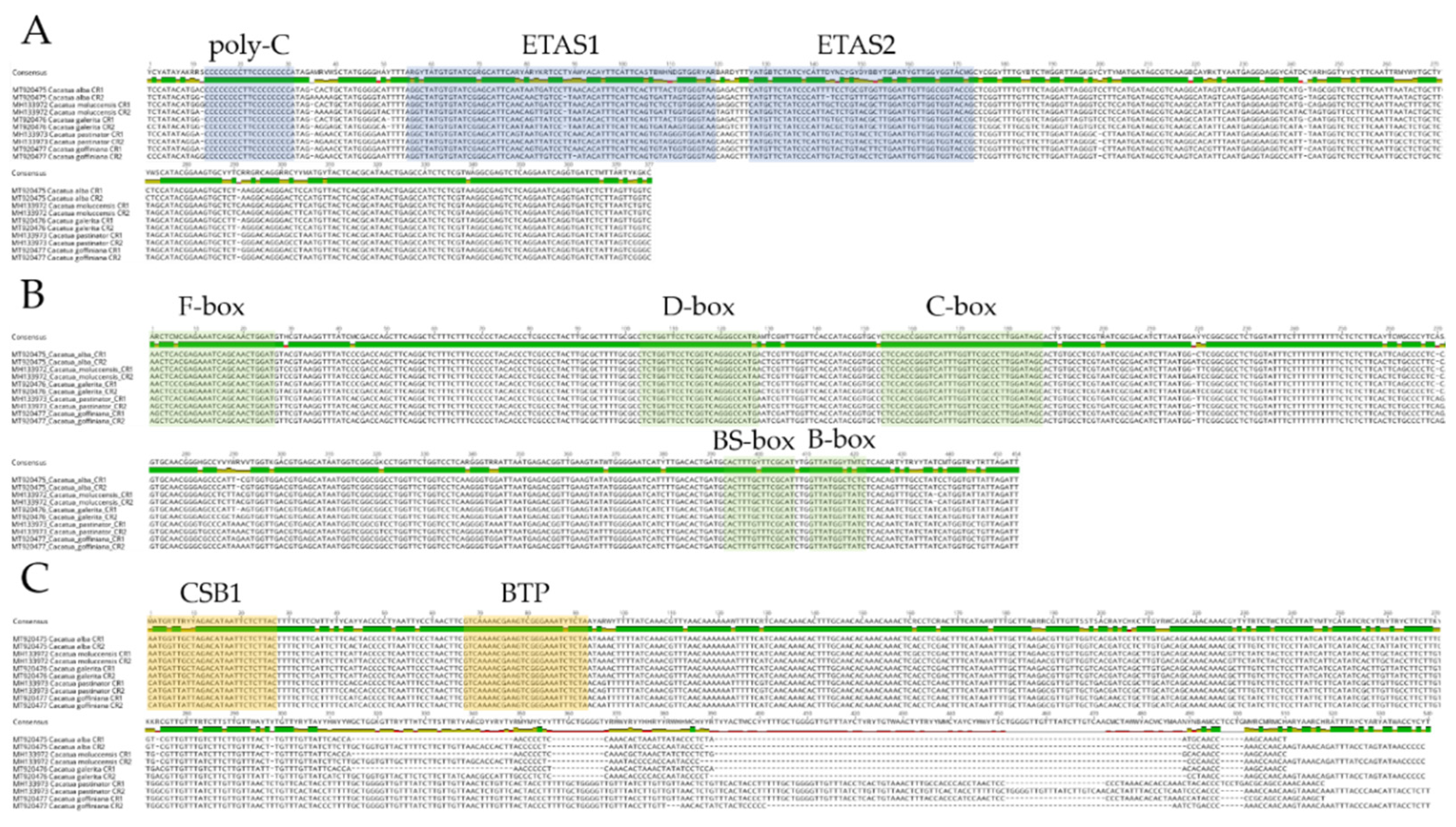 Genes 12 00209 g003 Genes 12 00209 g003