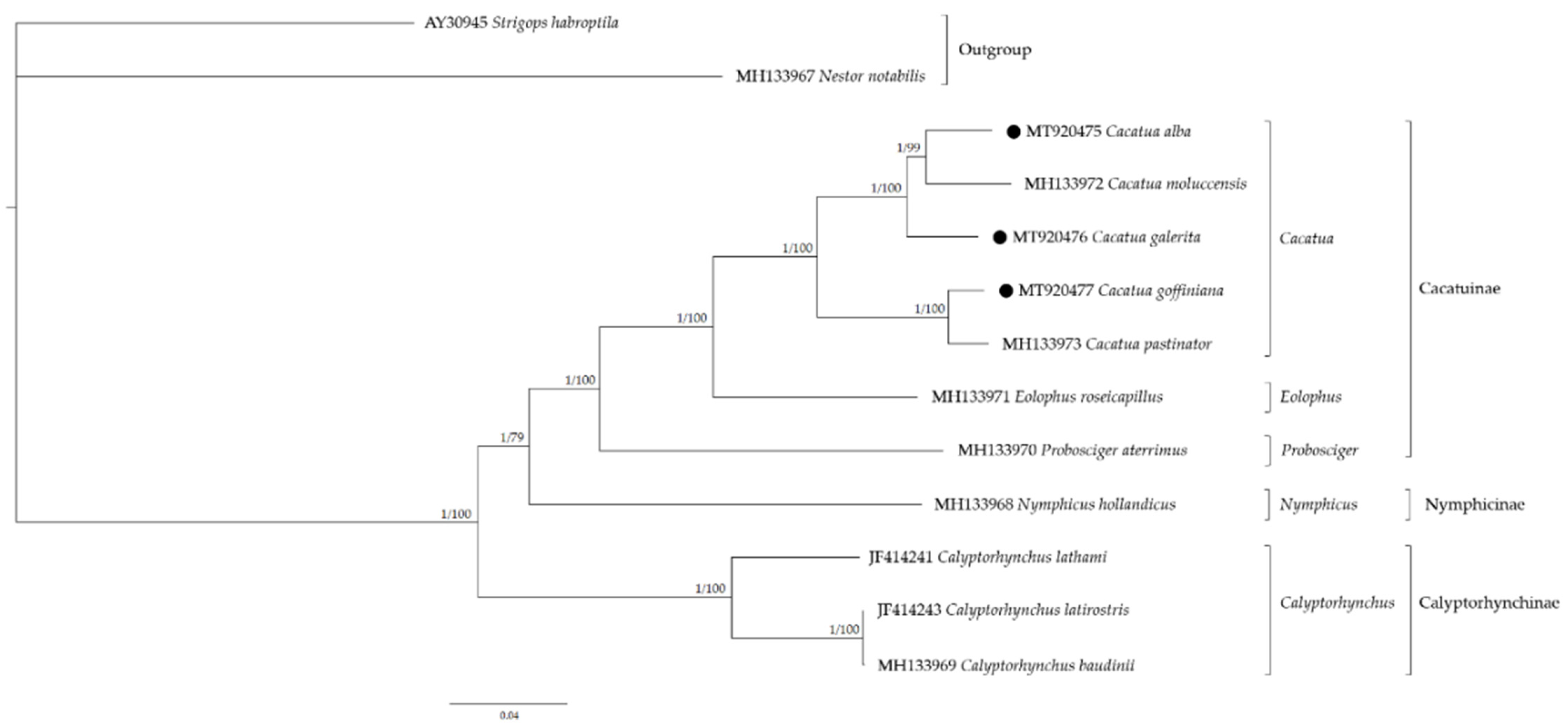 Genes 12 00209 g005 Genes 12 00209 g005