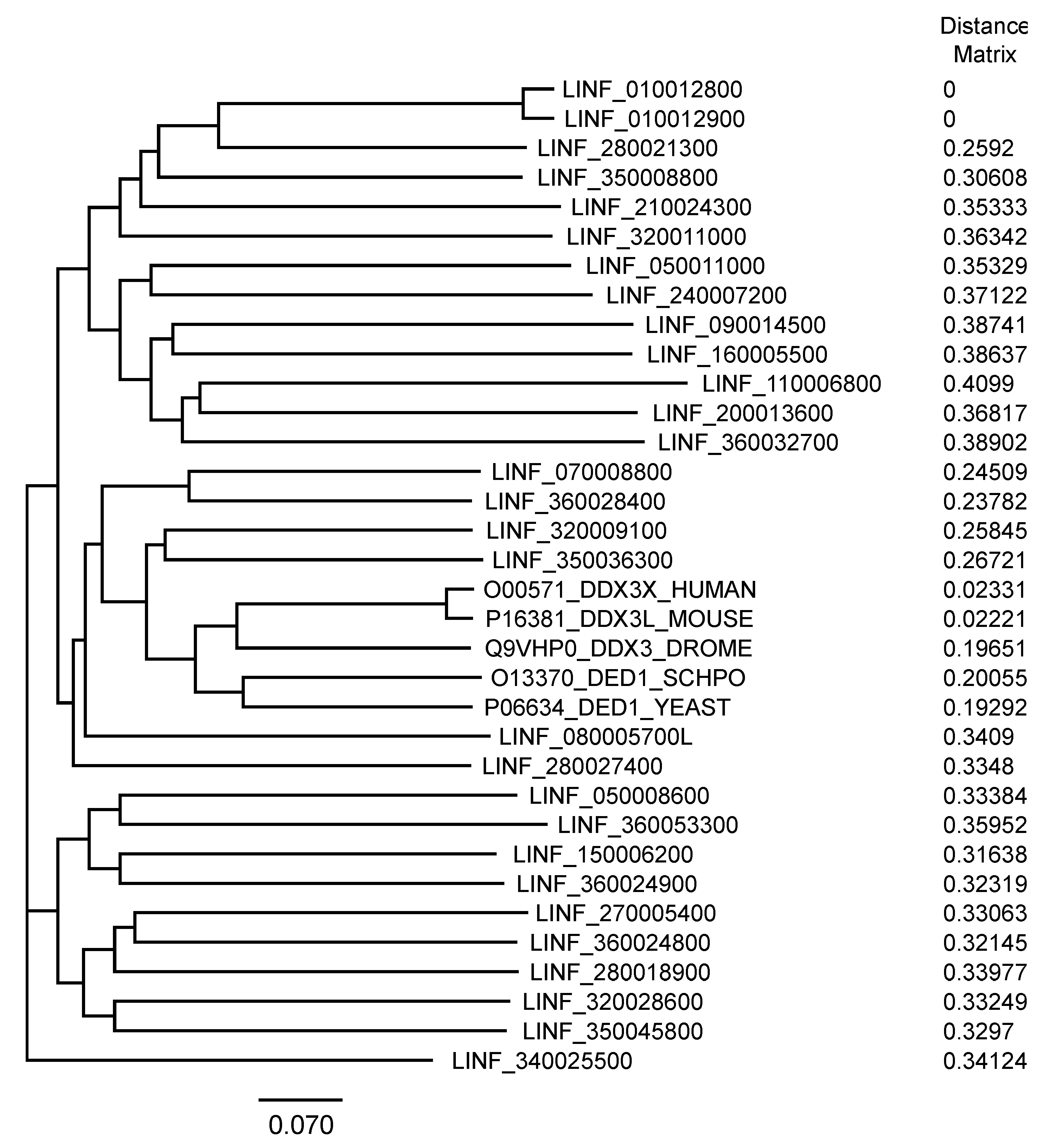 Genes 12 00212 g001 Genes 12 00212 g001