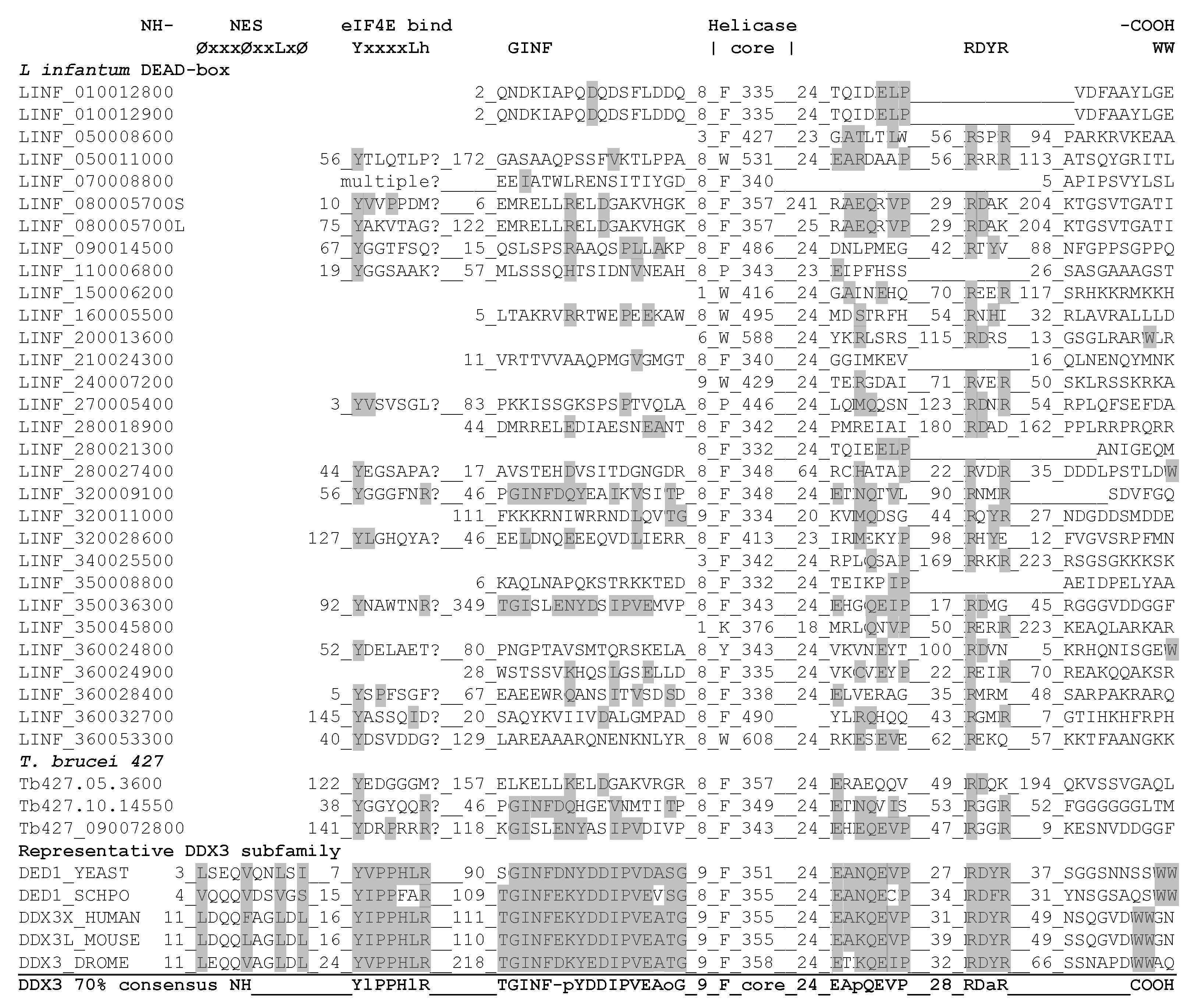 Genes 12 00212 g003 Genes 12 00212 g003