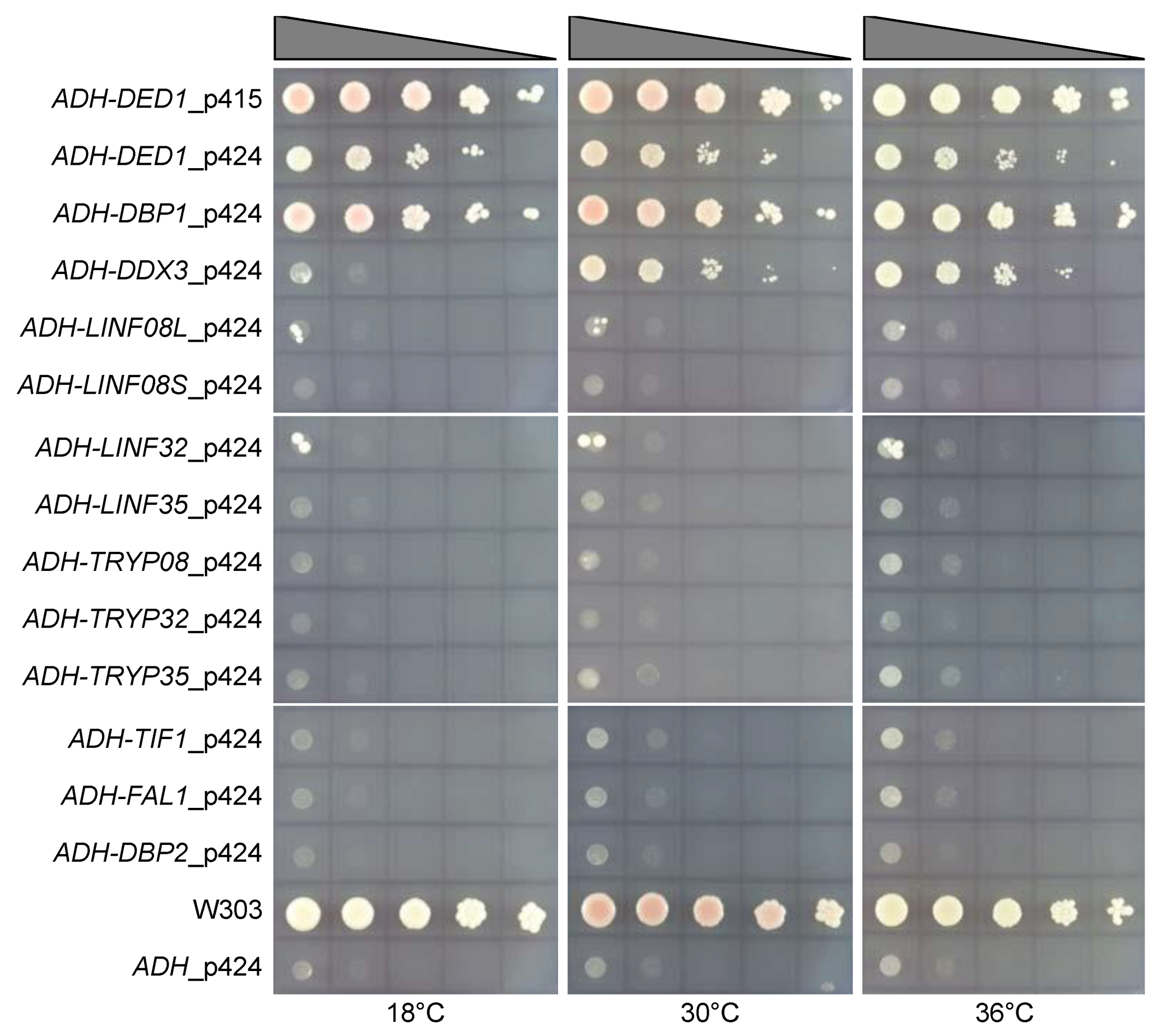 Genes 12 00212 g004 Genes 12 00212 g004
