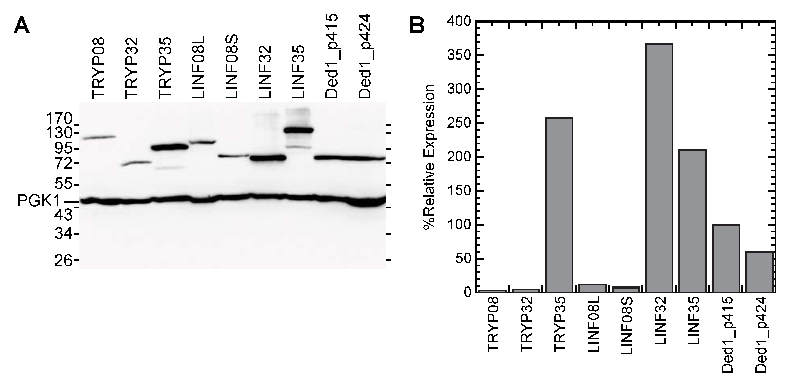Genes 12 00212 g005 Genes 12 00212 g005