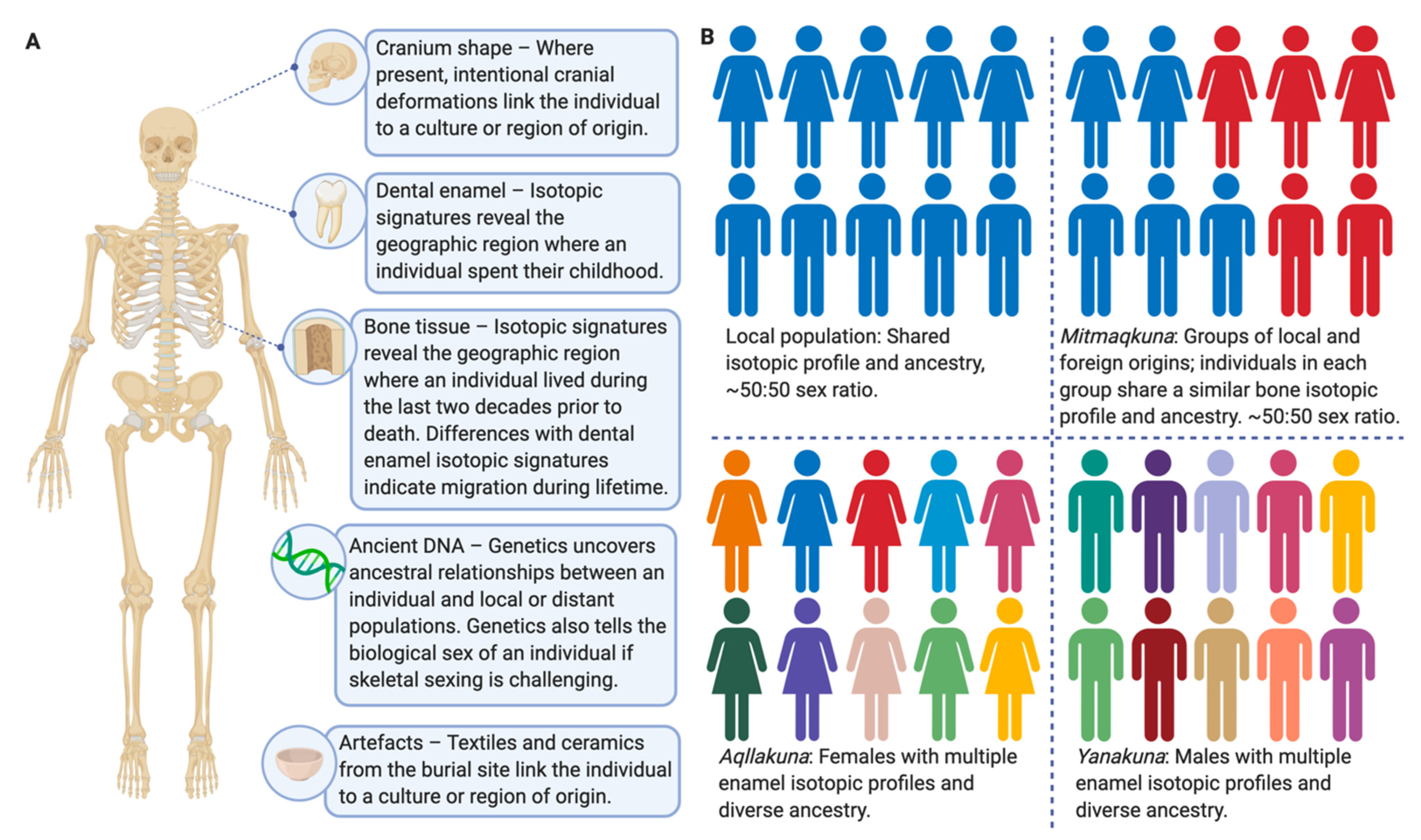 Genes 12 00215 g003