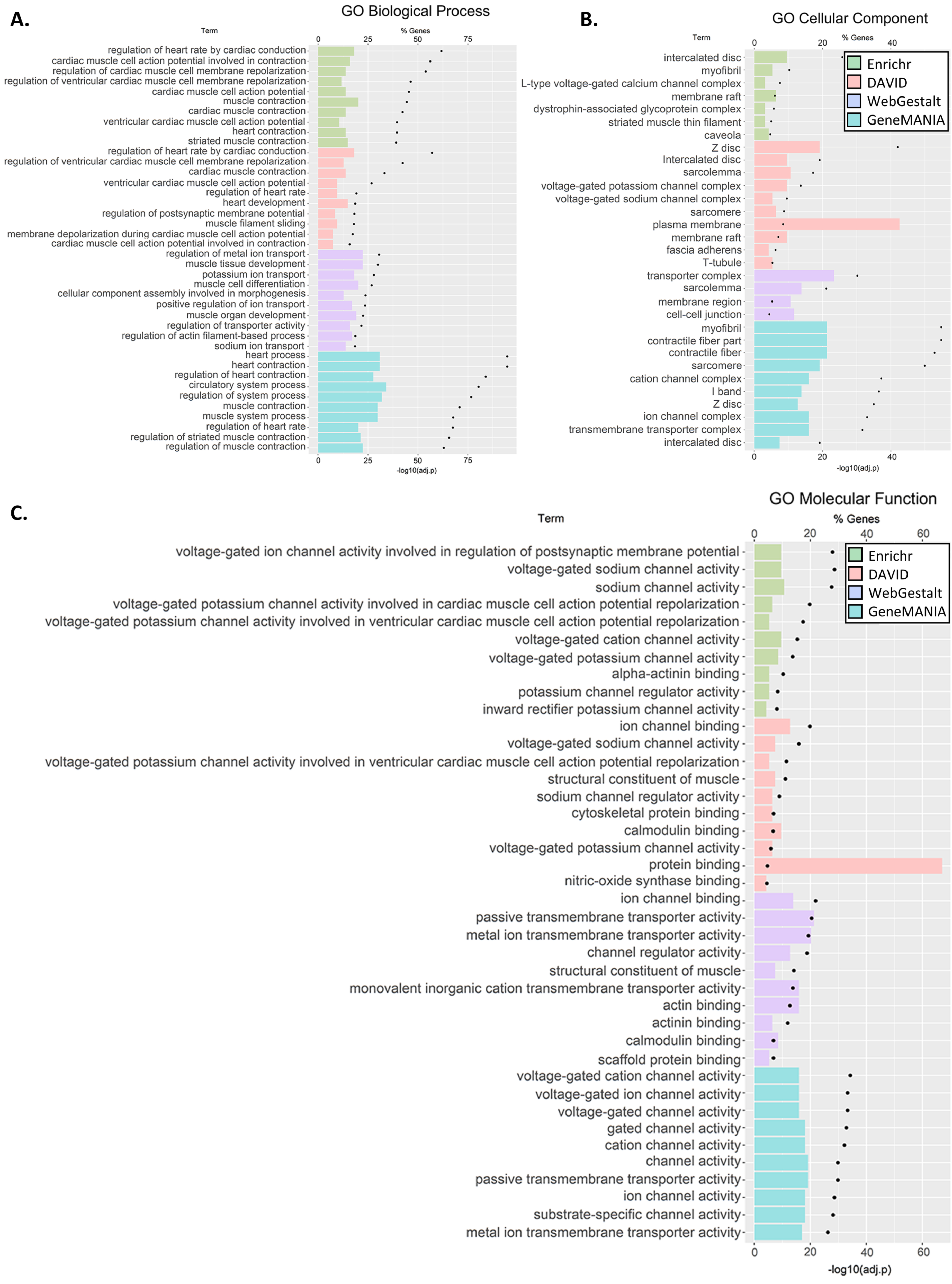Genes 12 00216 g003a Genes 12 00216 g003a