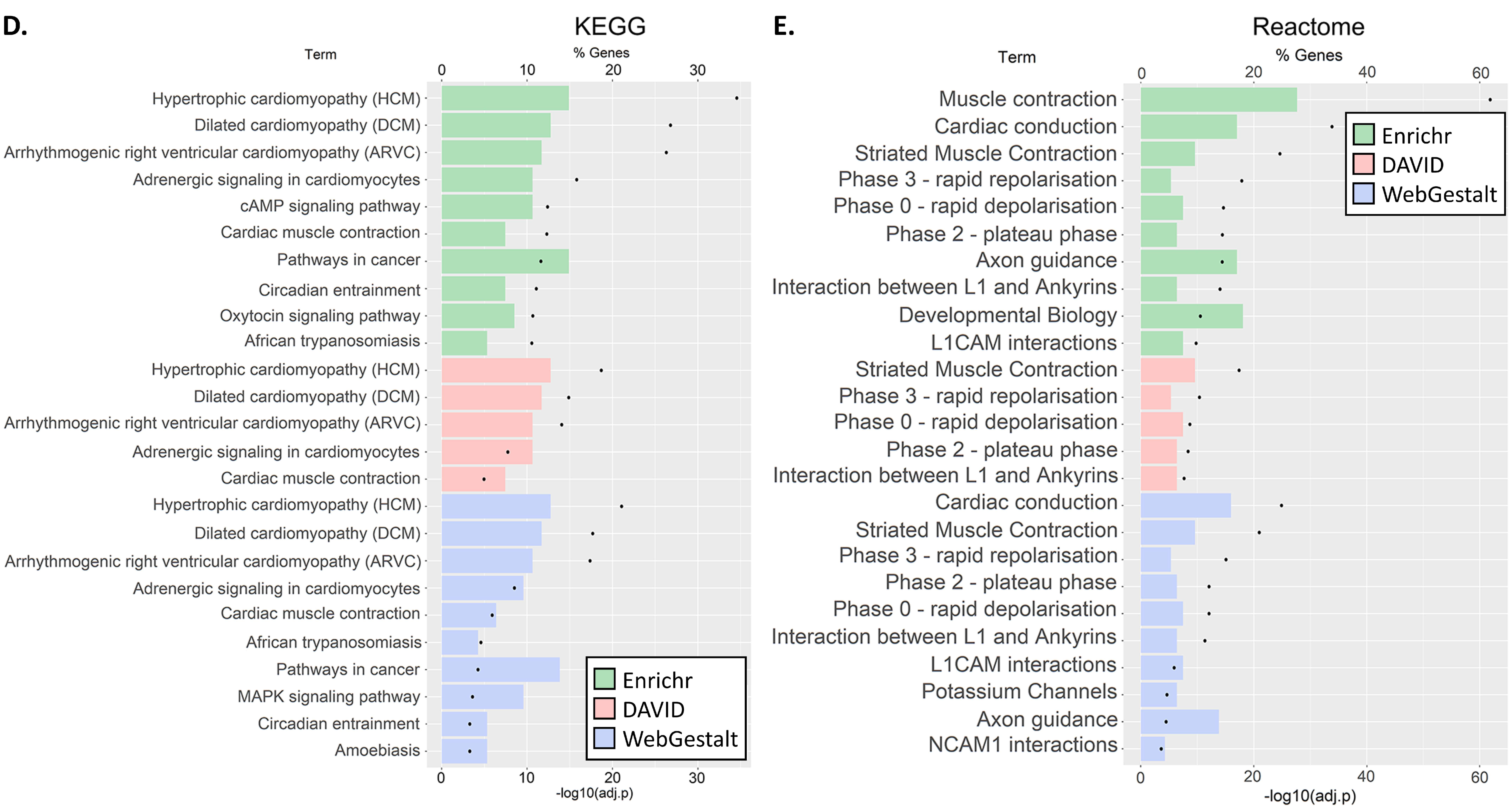 Genes 12 00216 g003b Genes 12 00216 g003b