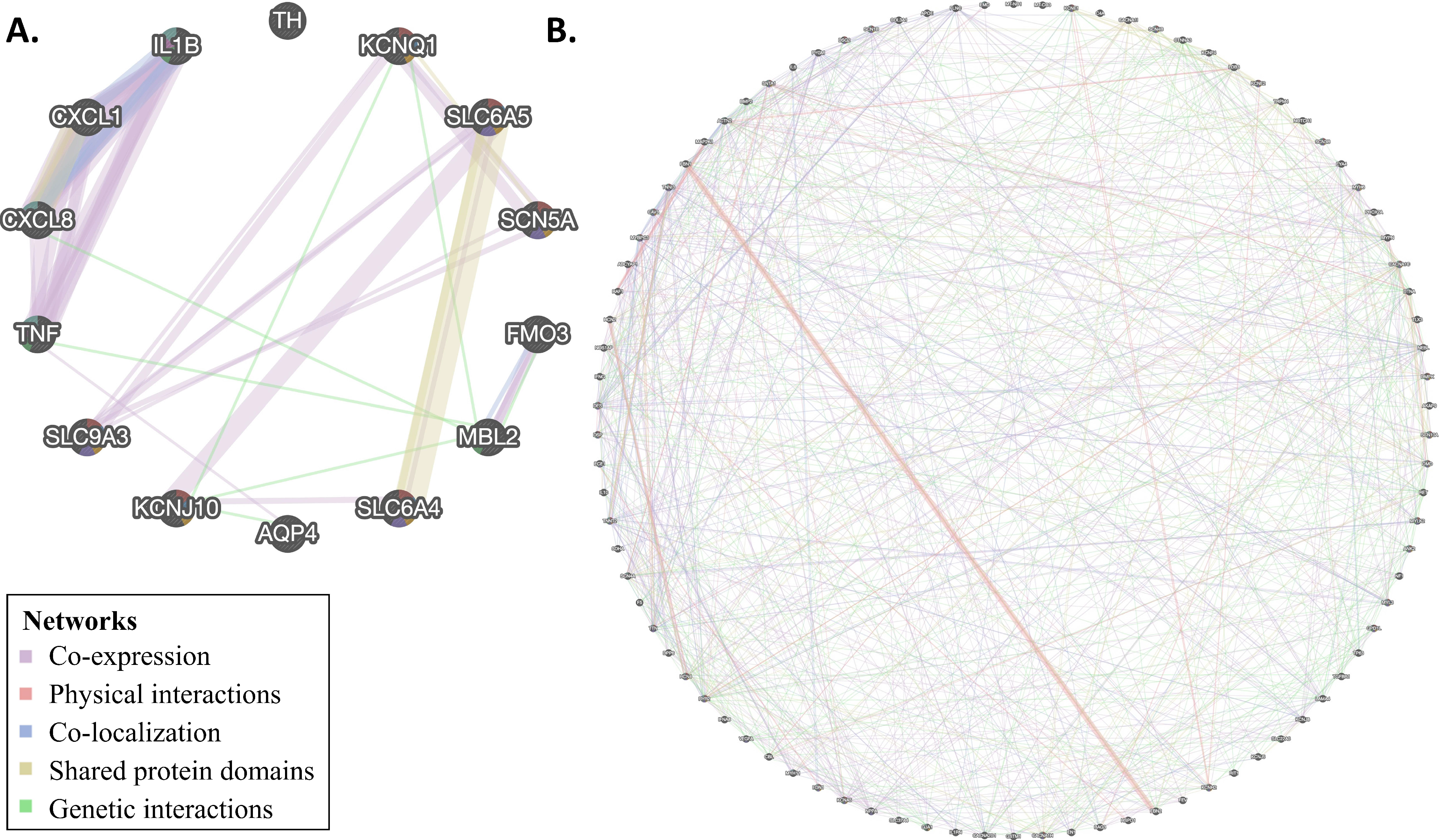 Genes 12 00216 g004 Genes 12 00216 g004