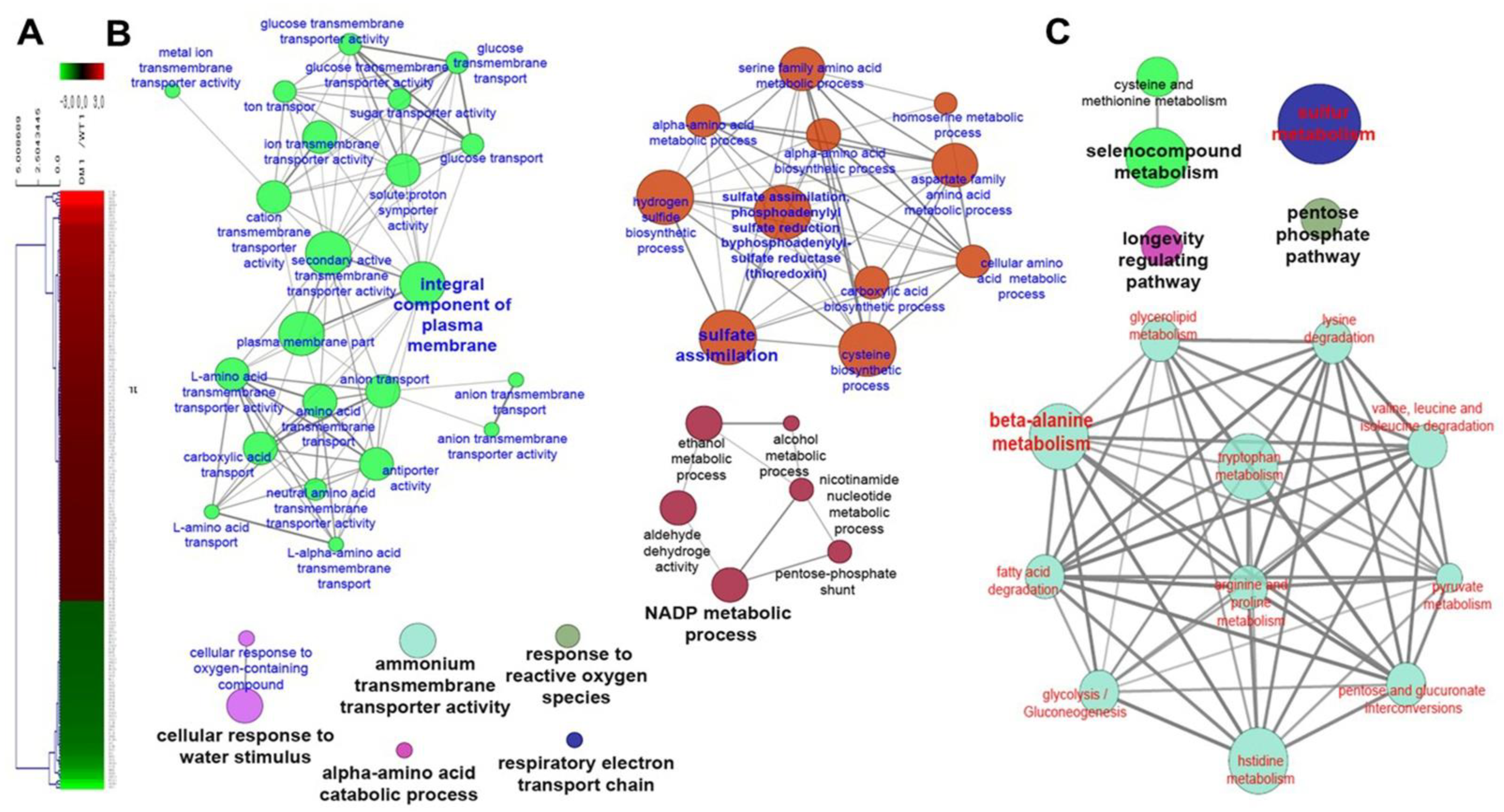 Genes 12 00219 g002 Genes 12 00219 g002