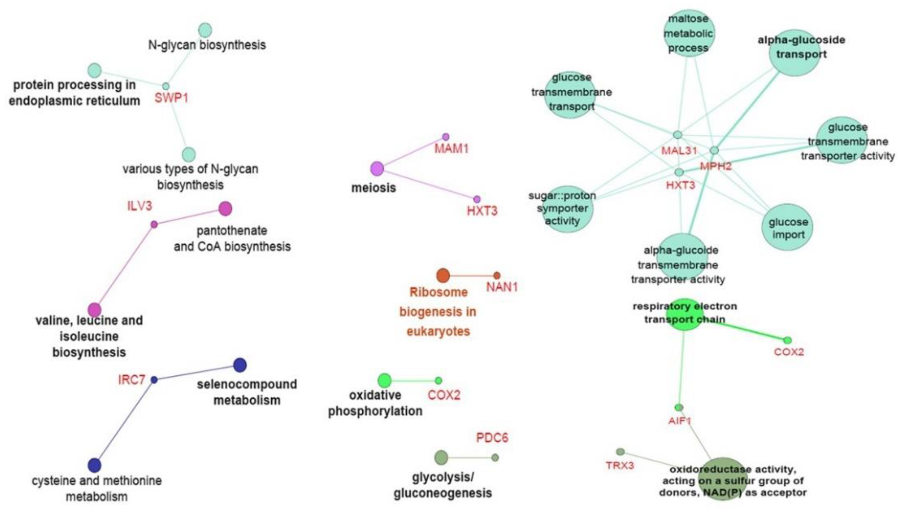 Genes 12 00219 g005 Genes 12 00219 g005