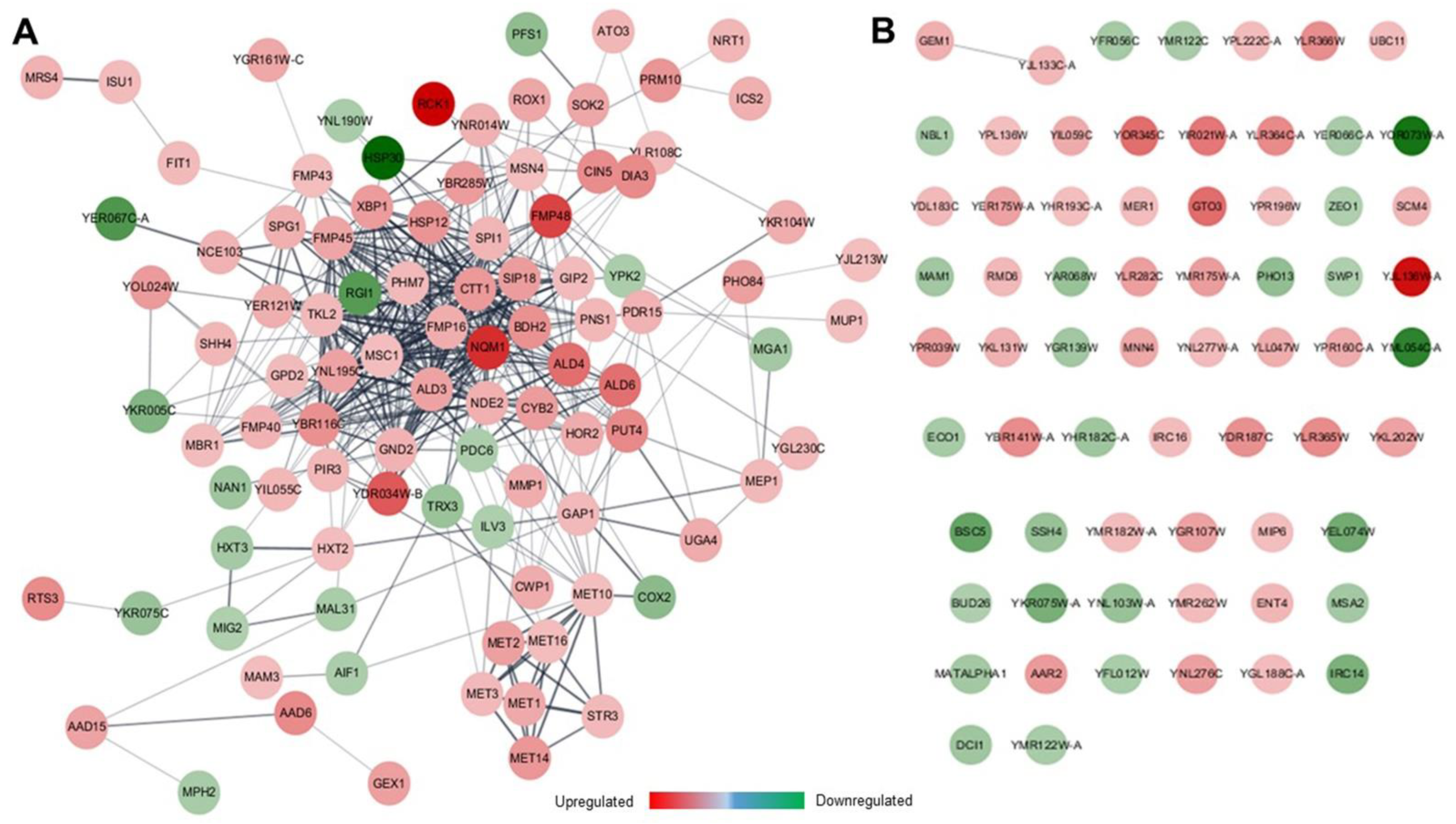 Genes 12 00219 g006 Genes 12 00219 g006