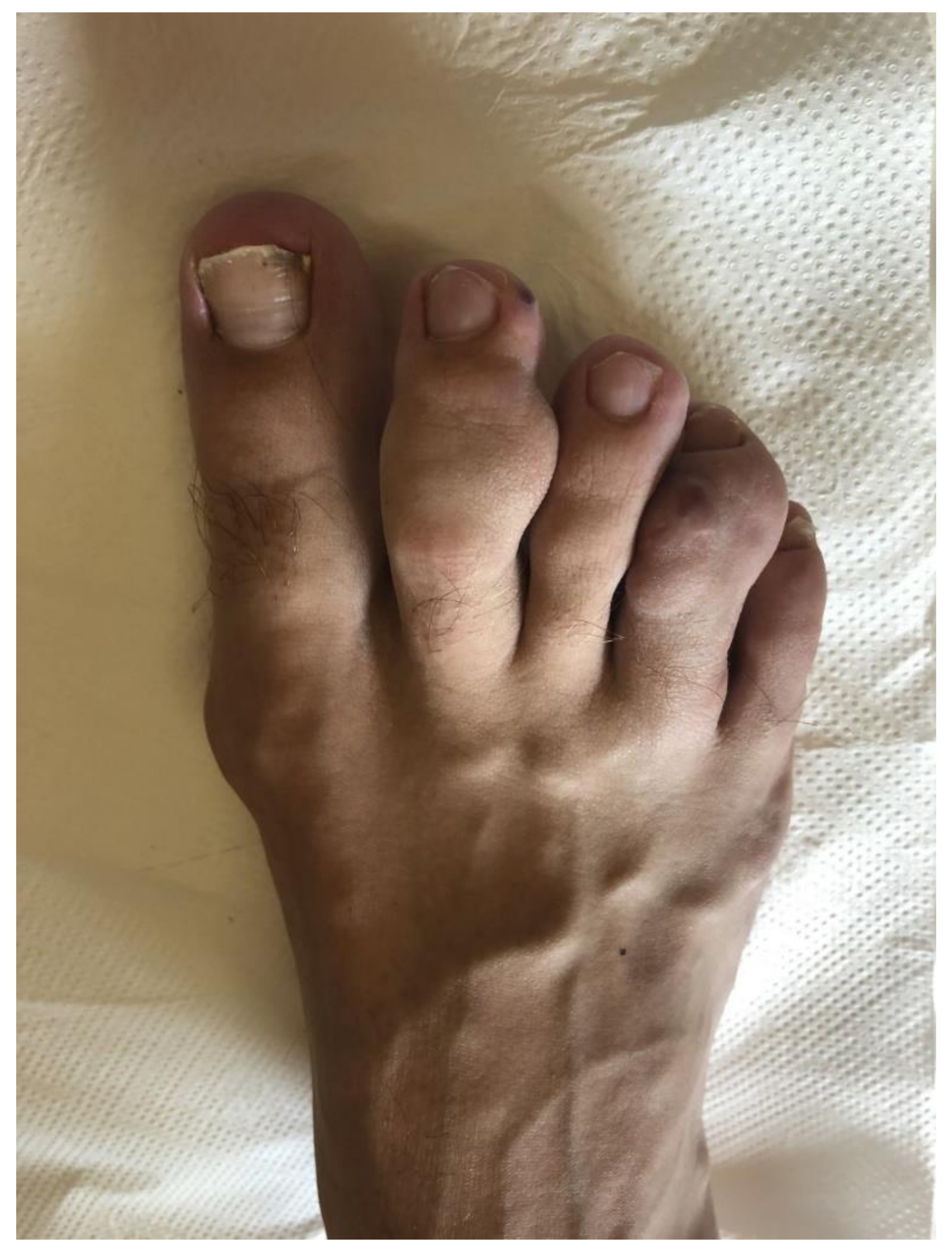 Genes 12 00220 g001 Genes 12 00220 g001