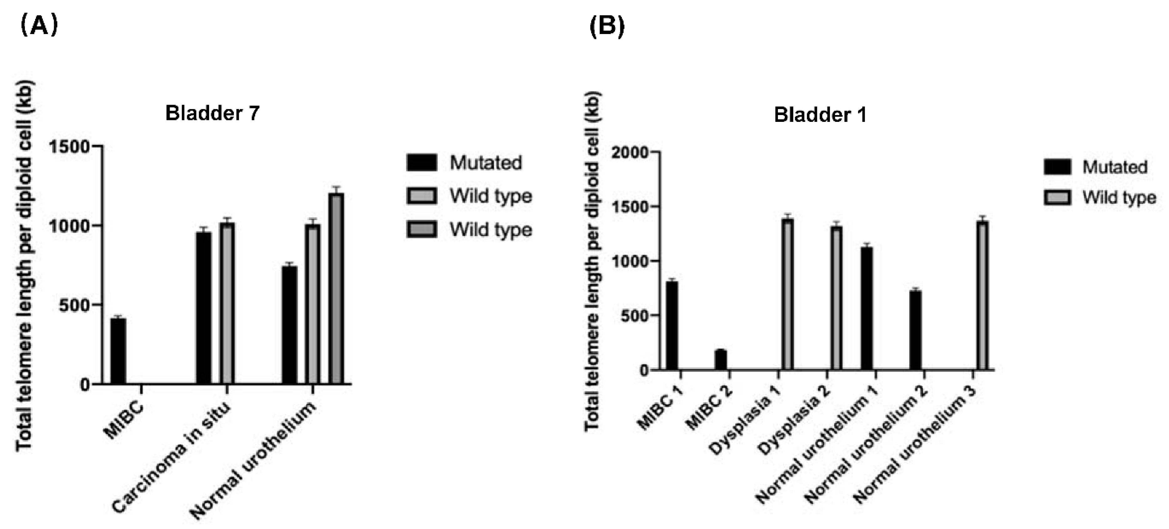 Genes 12 00230 g003 Genes 12 00230 g003