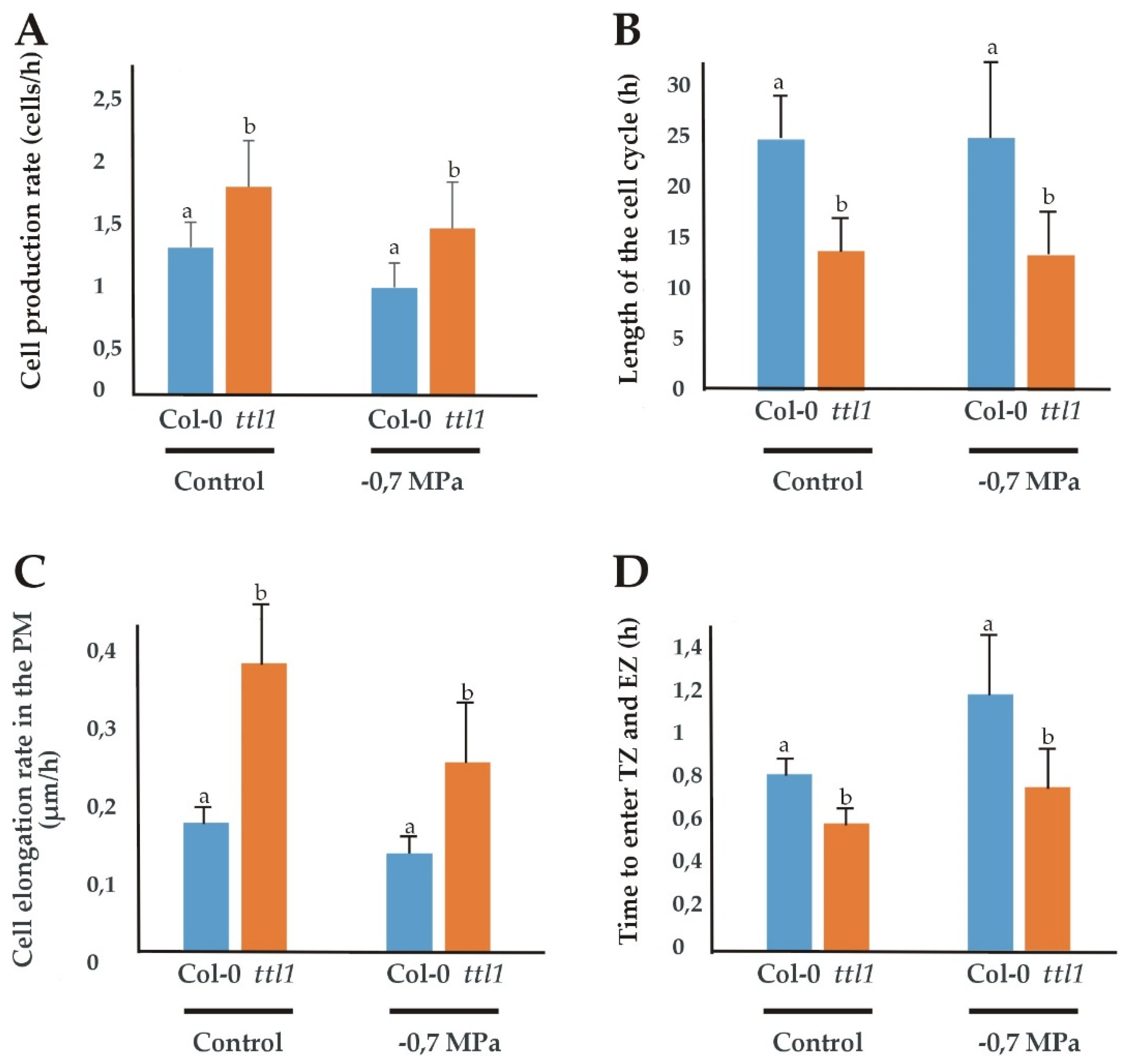 Genes 12 00236 g003