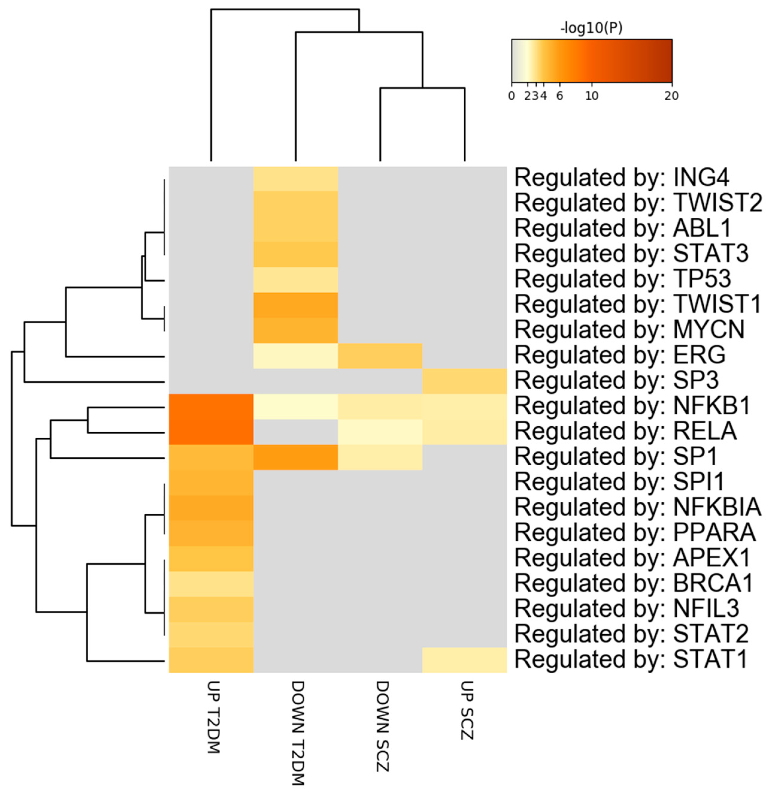 Genes 12 00237 g004 Genes 12 00237 g004