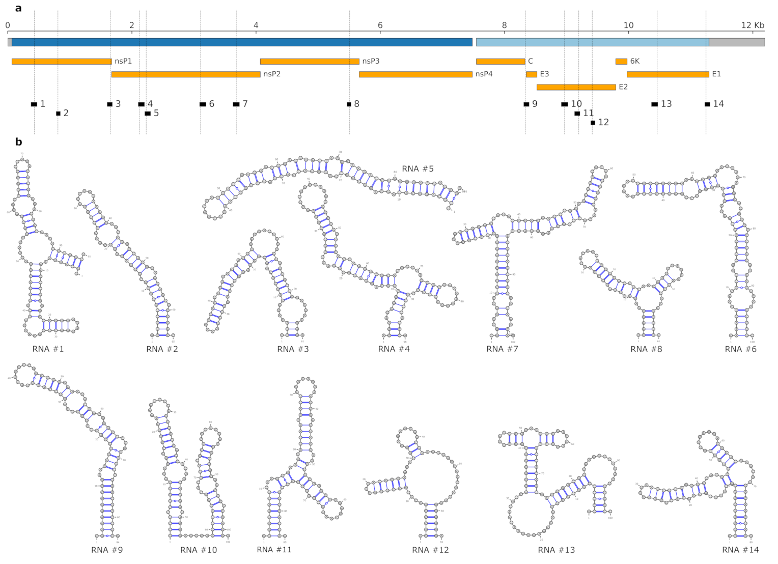 Genes 12 00239 g002 Genes 12 00239 g002