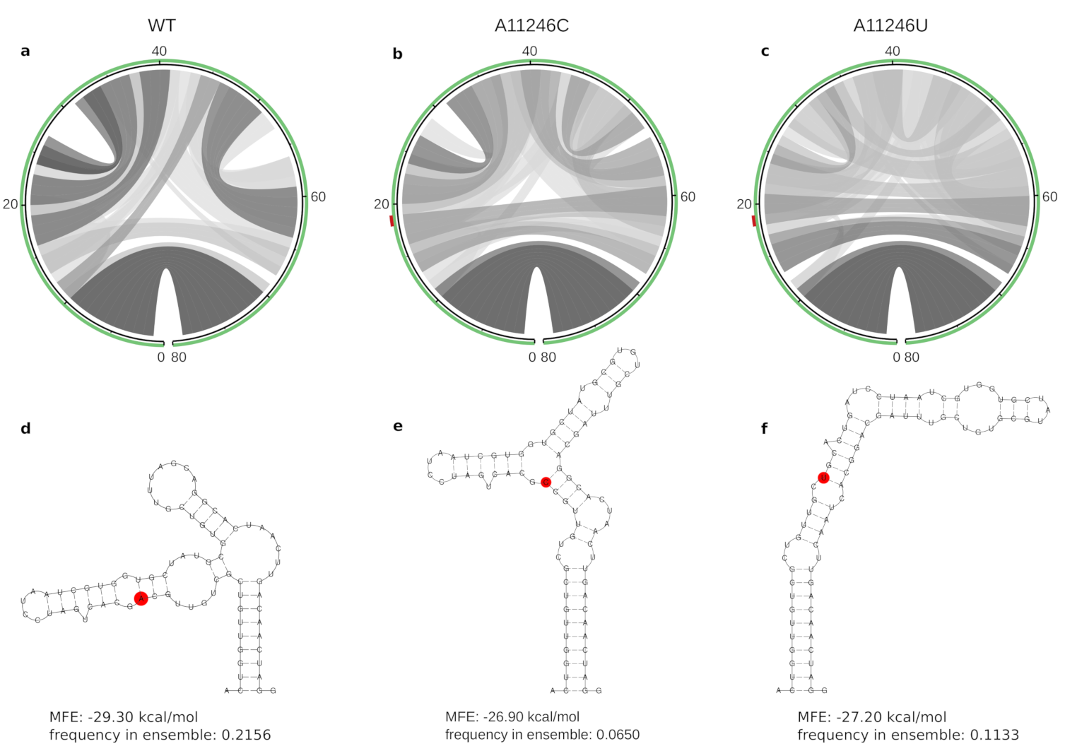 Genes 12 00239 g004 Genes 12 00239 g004