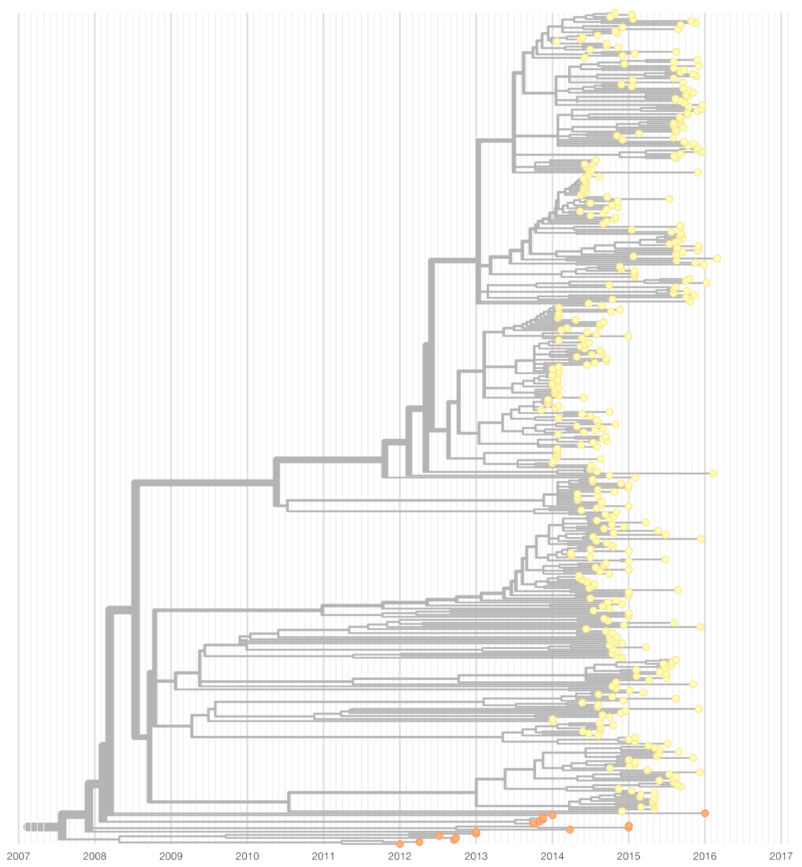 Genes 12 00239 g0a1 Genes 12 00239 g0a1