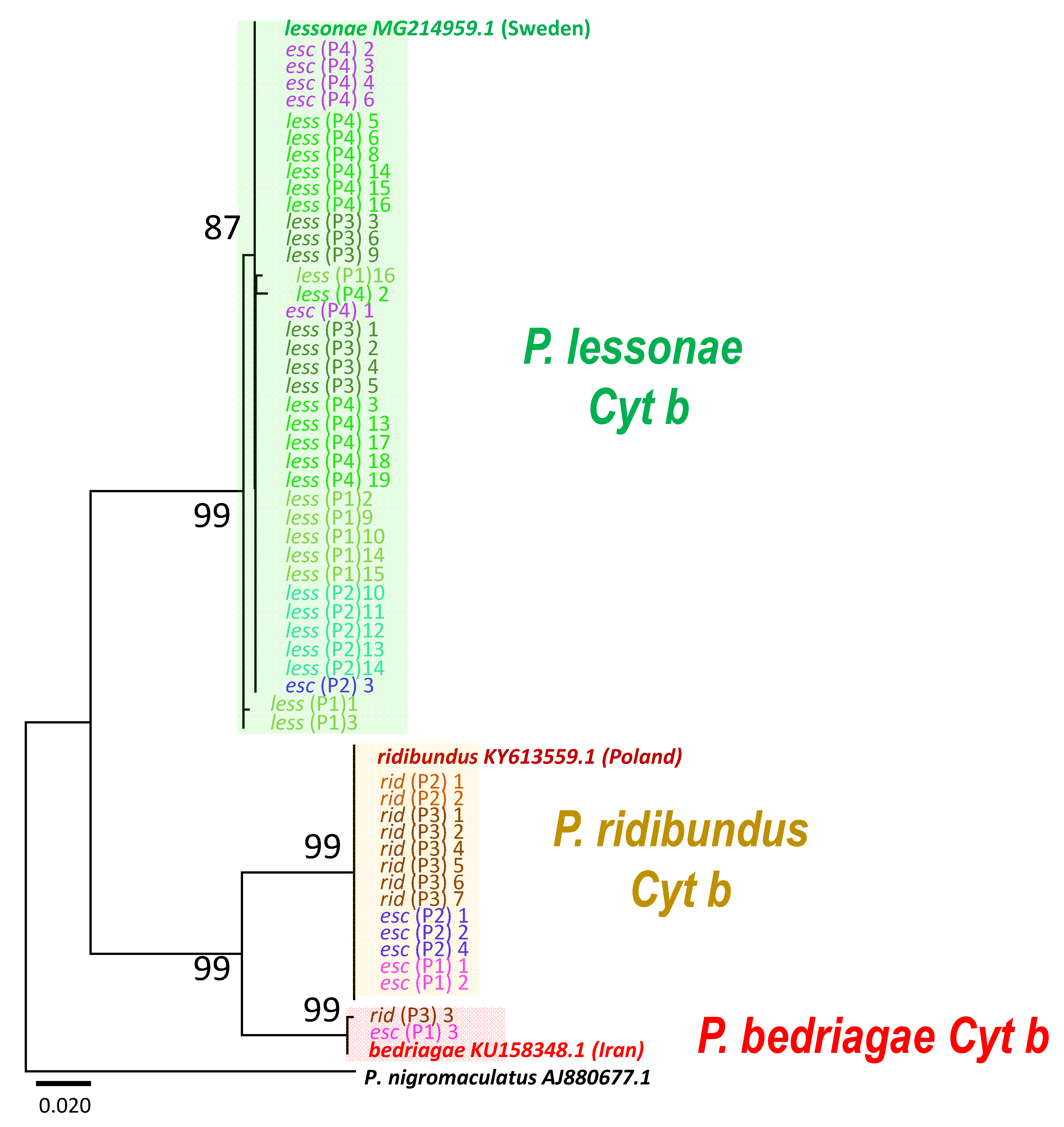 Genes 12 00244 g003