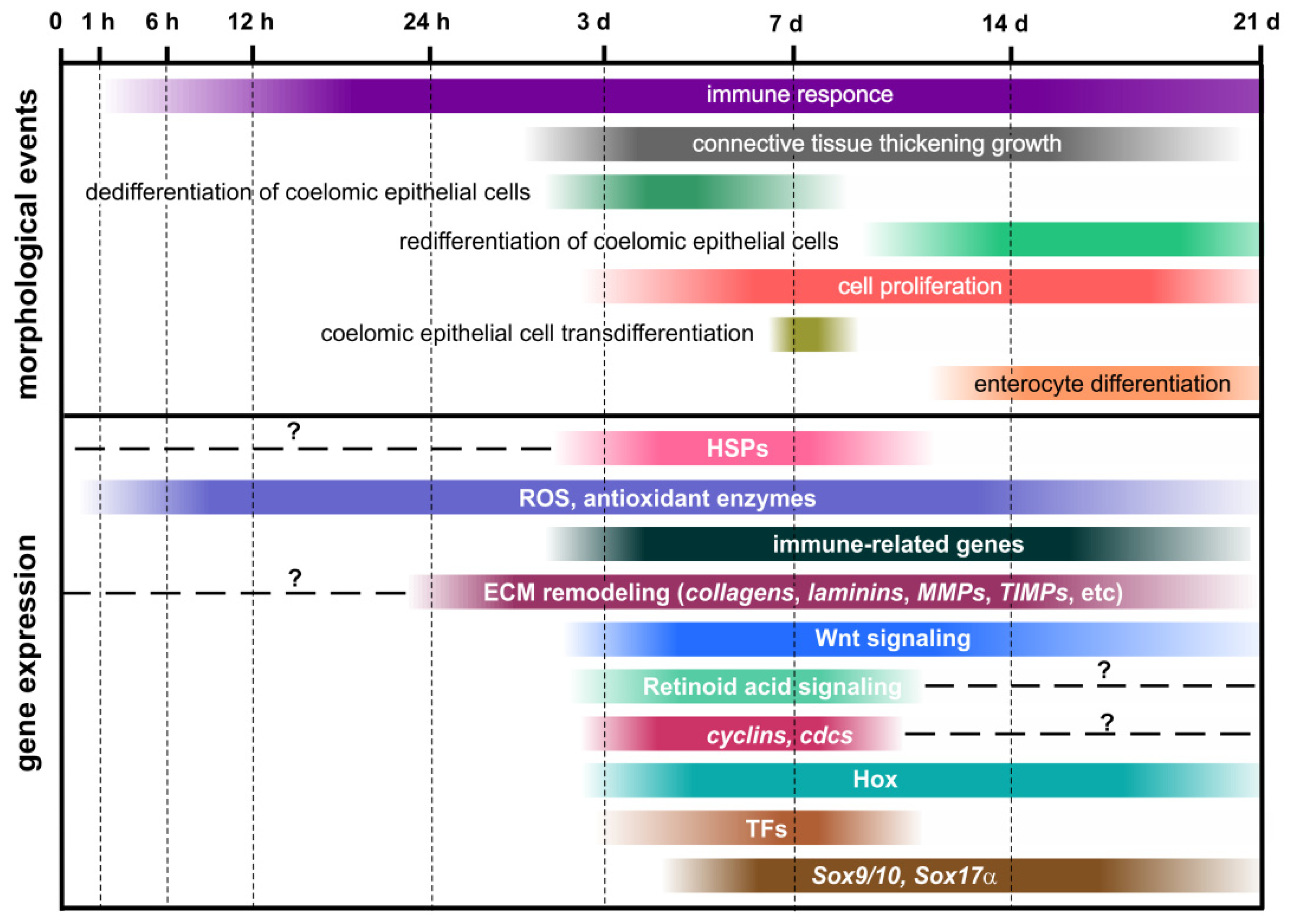 Genes 12 00250 g005 Genes 12 00250 g005
