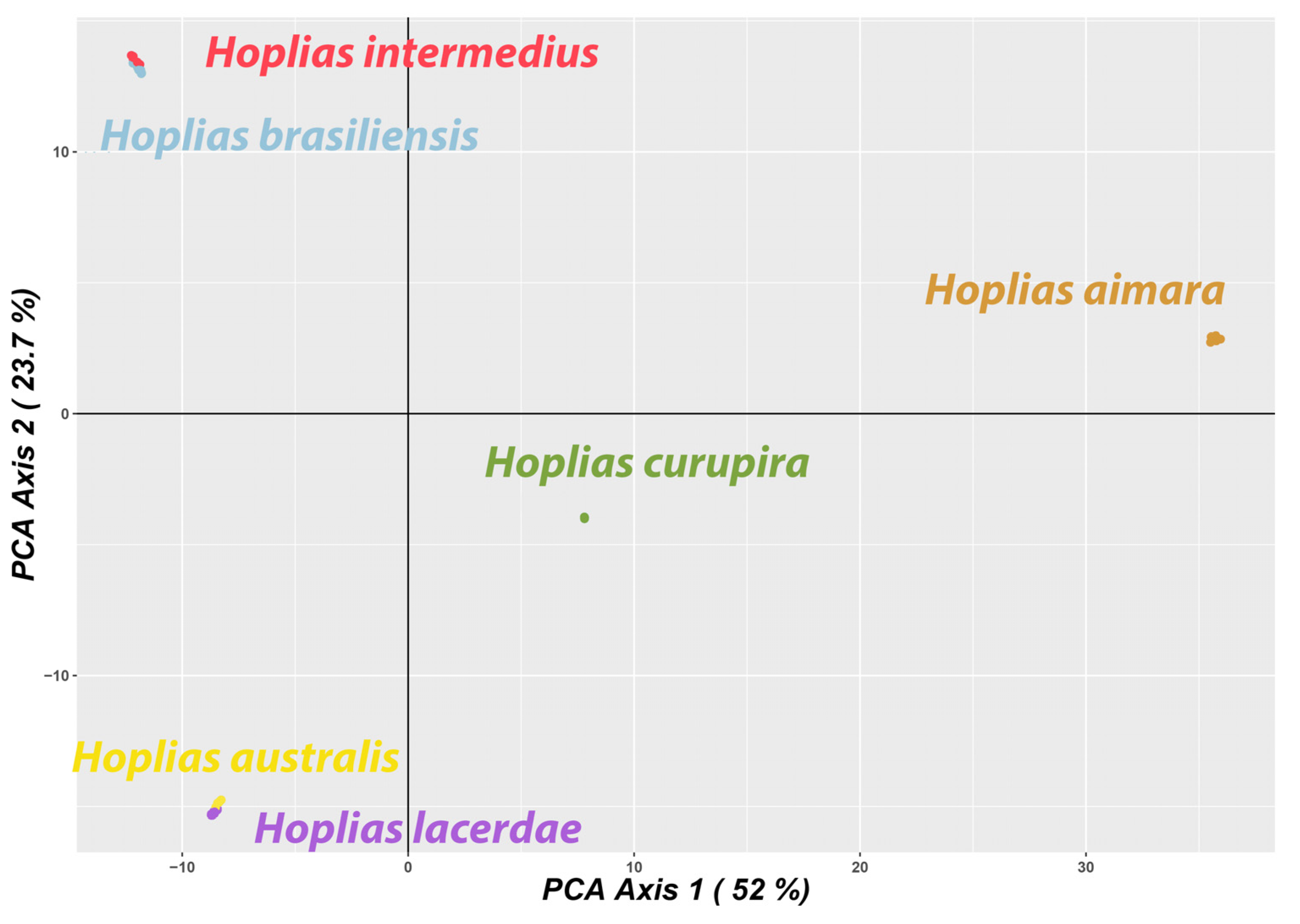curupira program flow chart curupira program flow chart