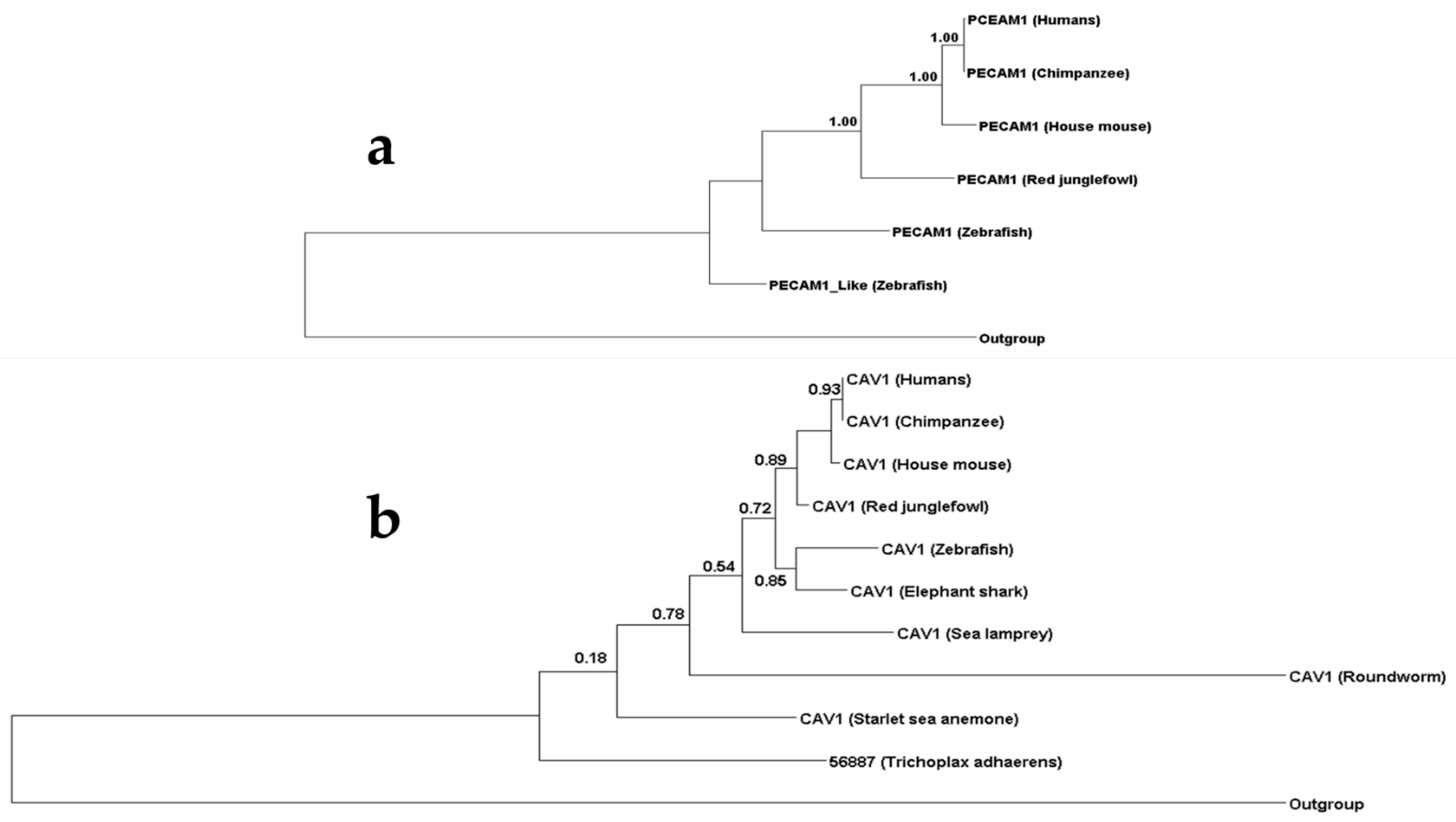 Genes 12 00254 g003