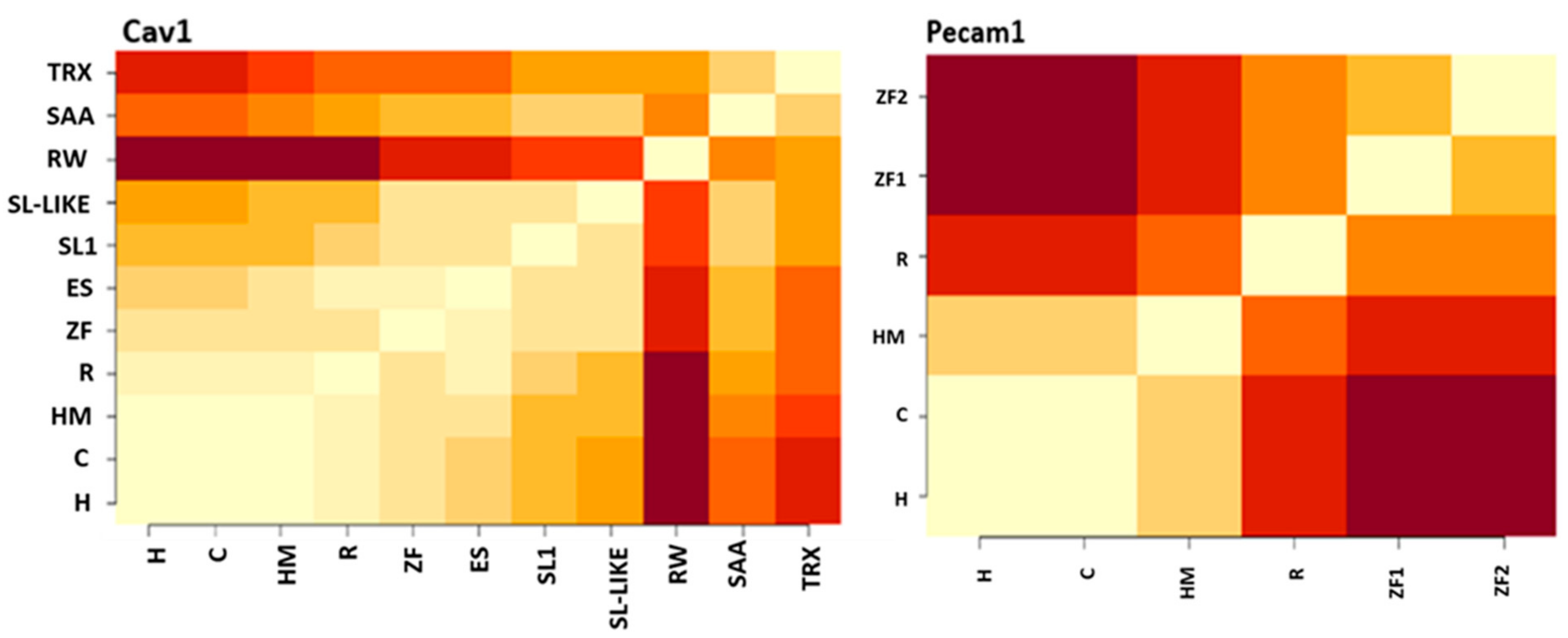 Genes 12 00254 g004