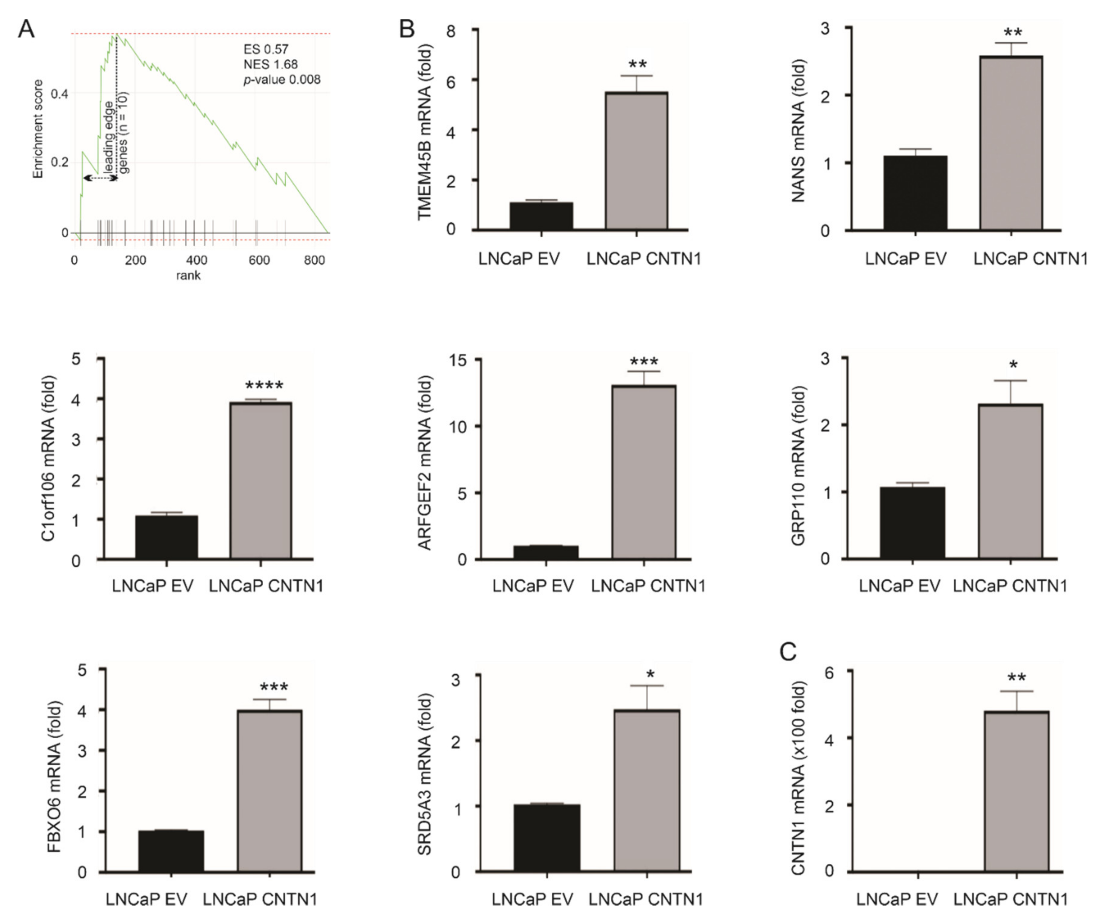 Genes 12 00257 g002 Genes 12 00257 g002