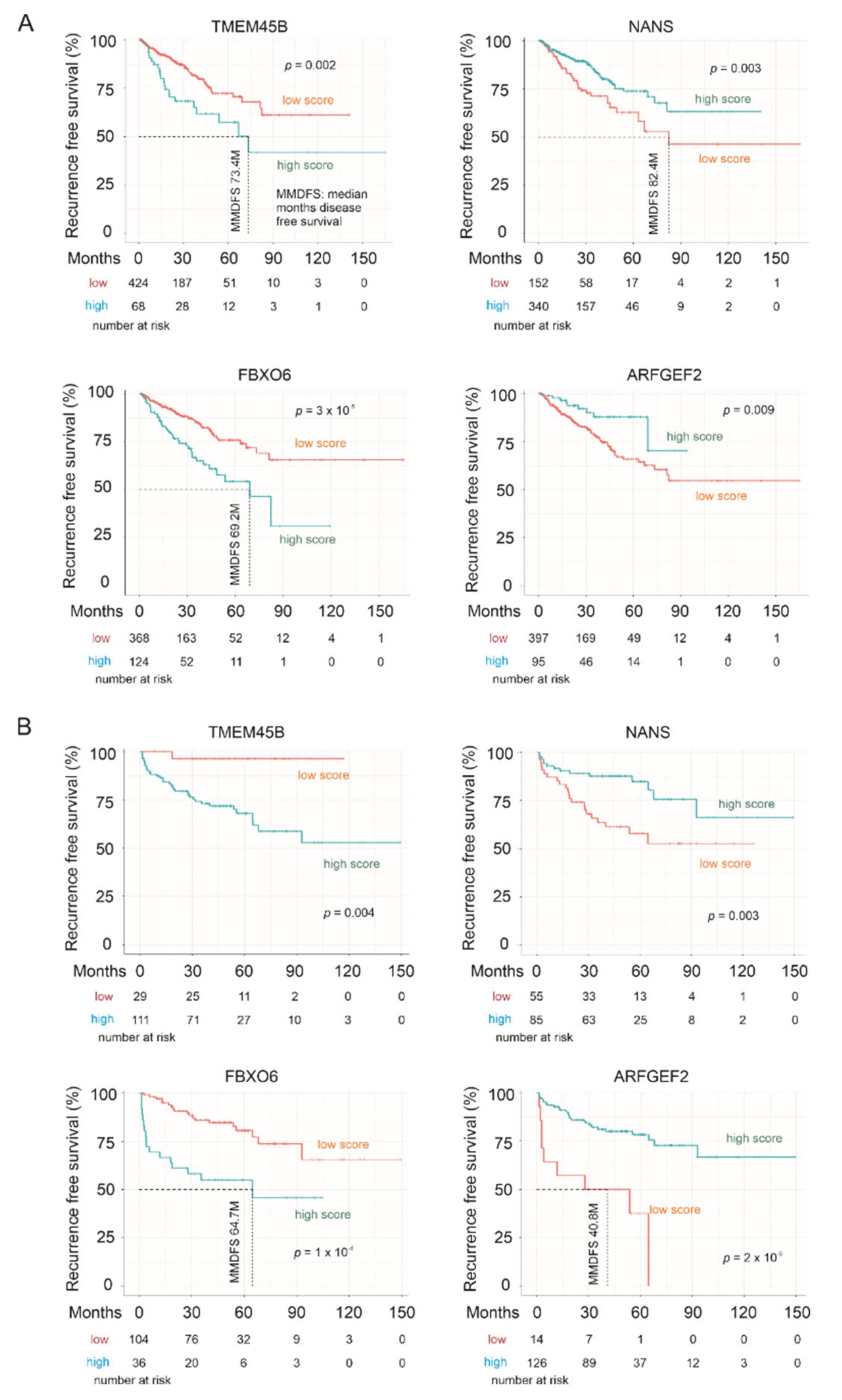 Genes 12 00257 g008 Genes 12 00257 g008