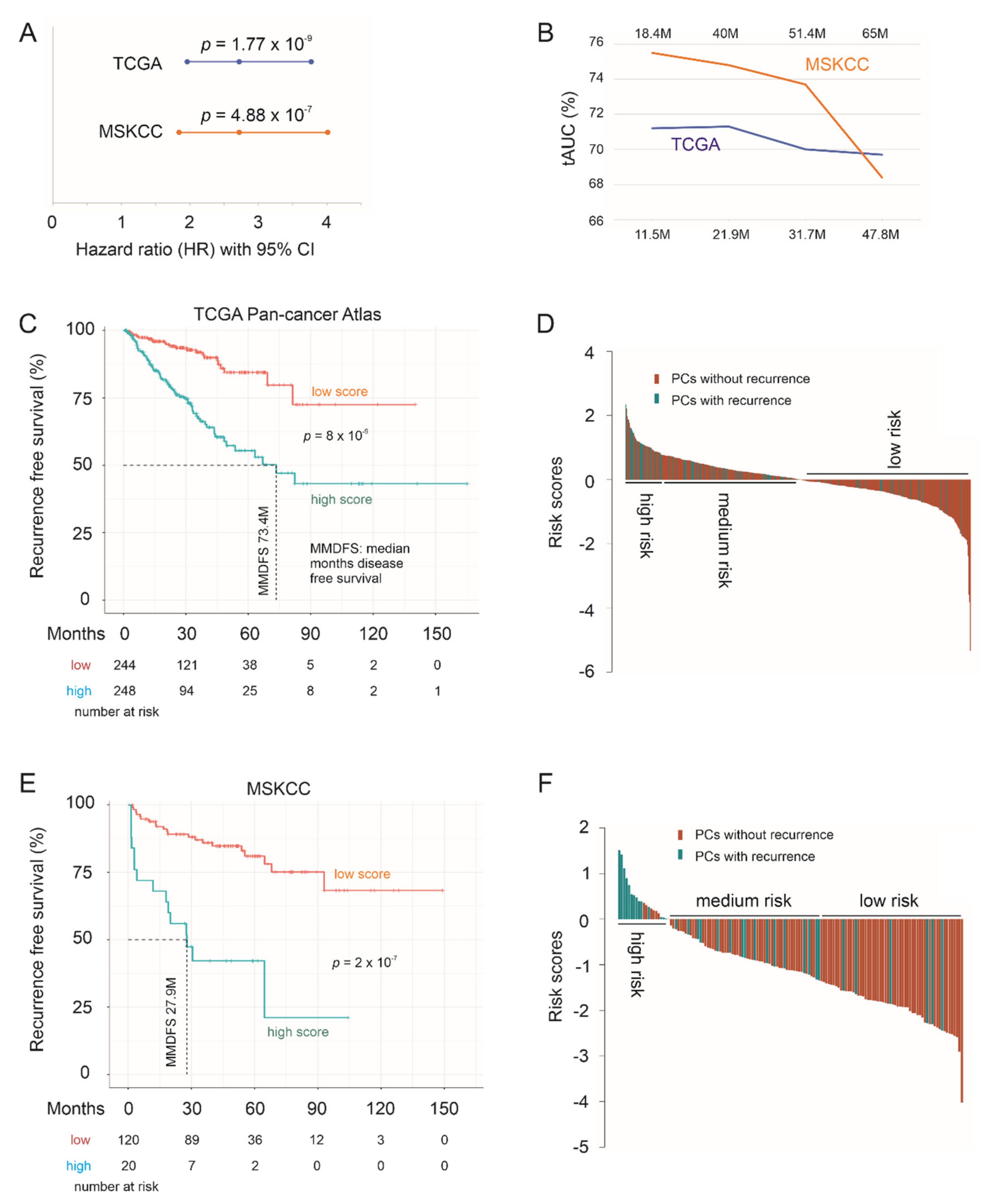 Genes 12 00257 g010 Genes 12 00257 g010