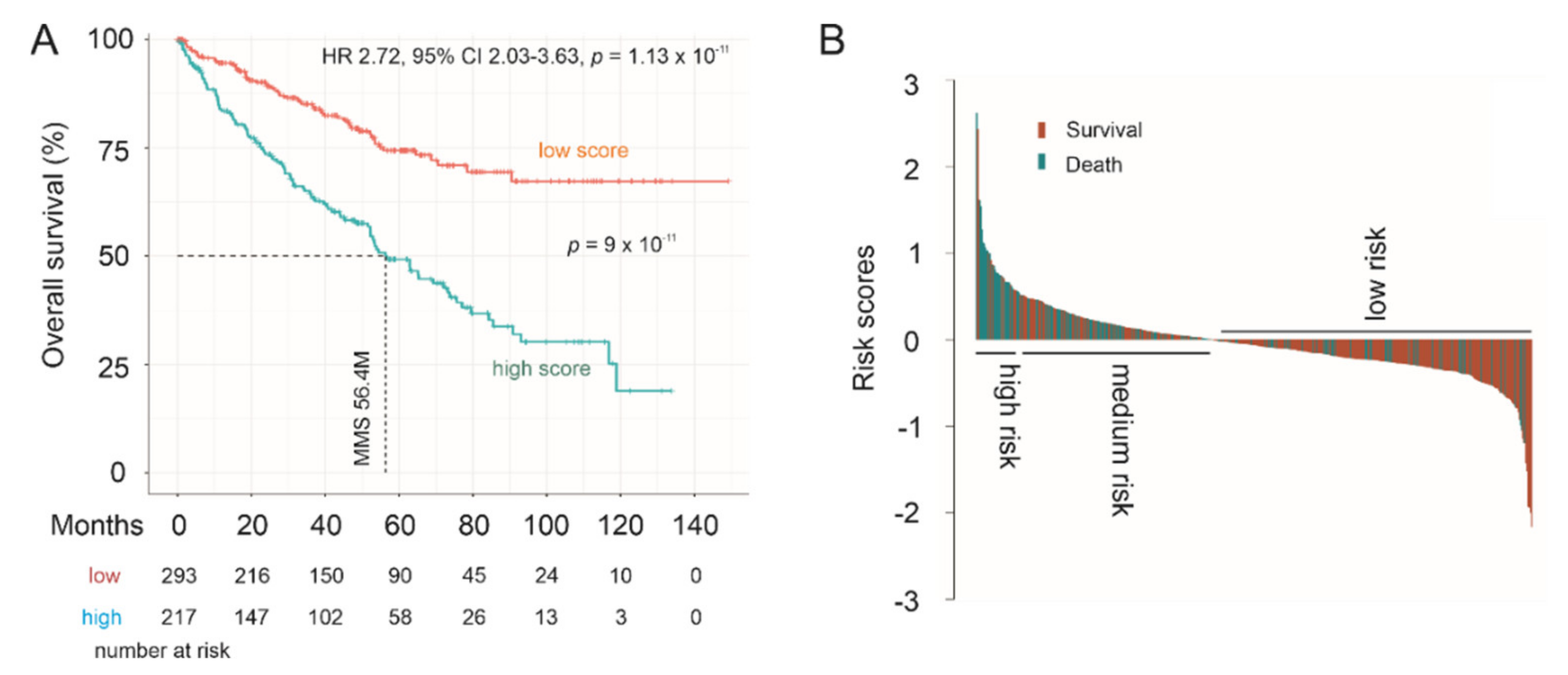 Genes 12 00257 g011 Genes 12 00257 g011