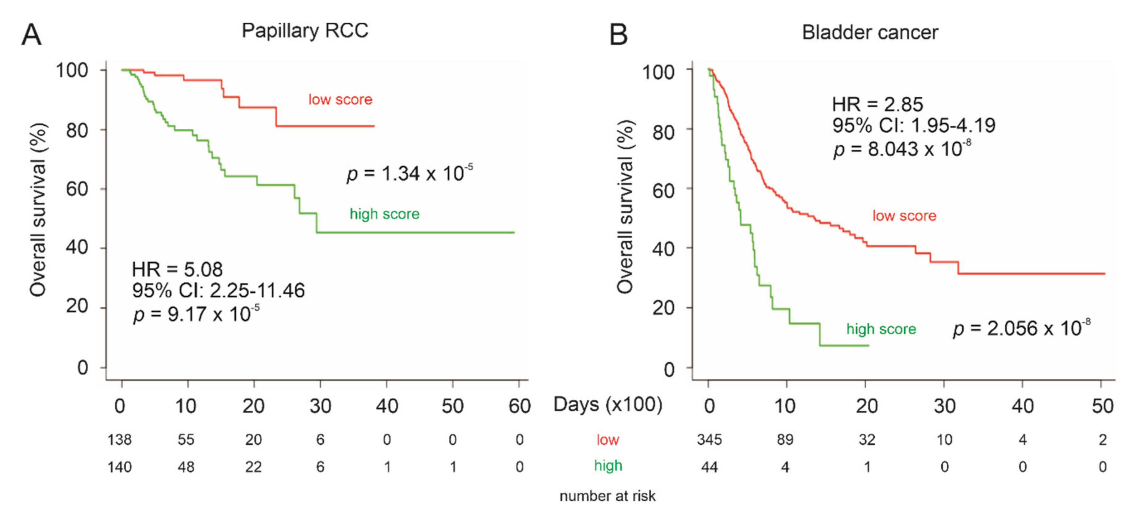 Genes 12 00257 g012 Genes 12 00257 g012