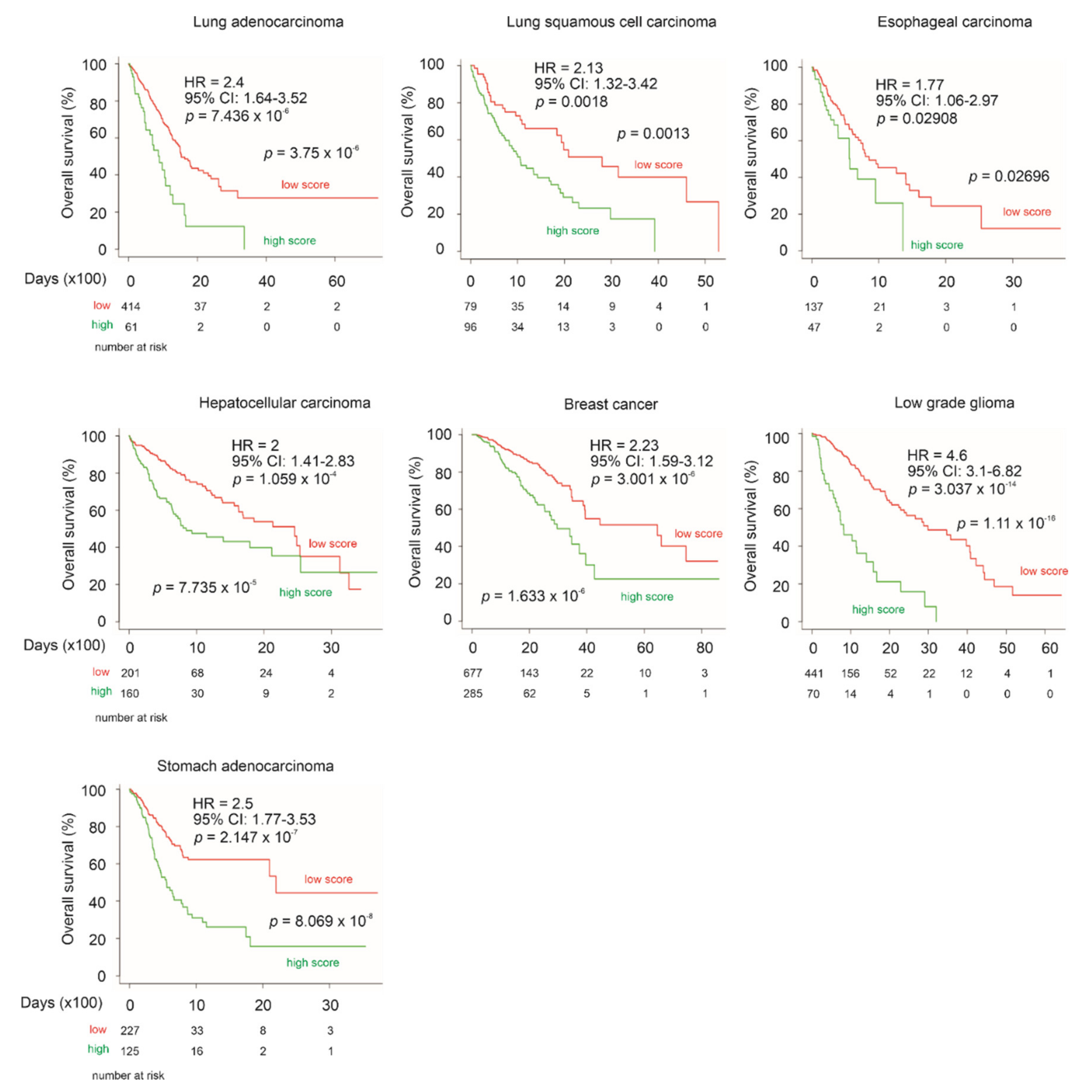 Genes 12 00257 g013 Genes 12 00257 g013