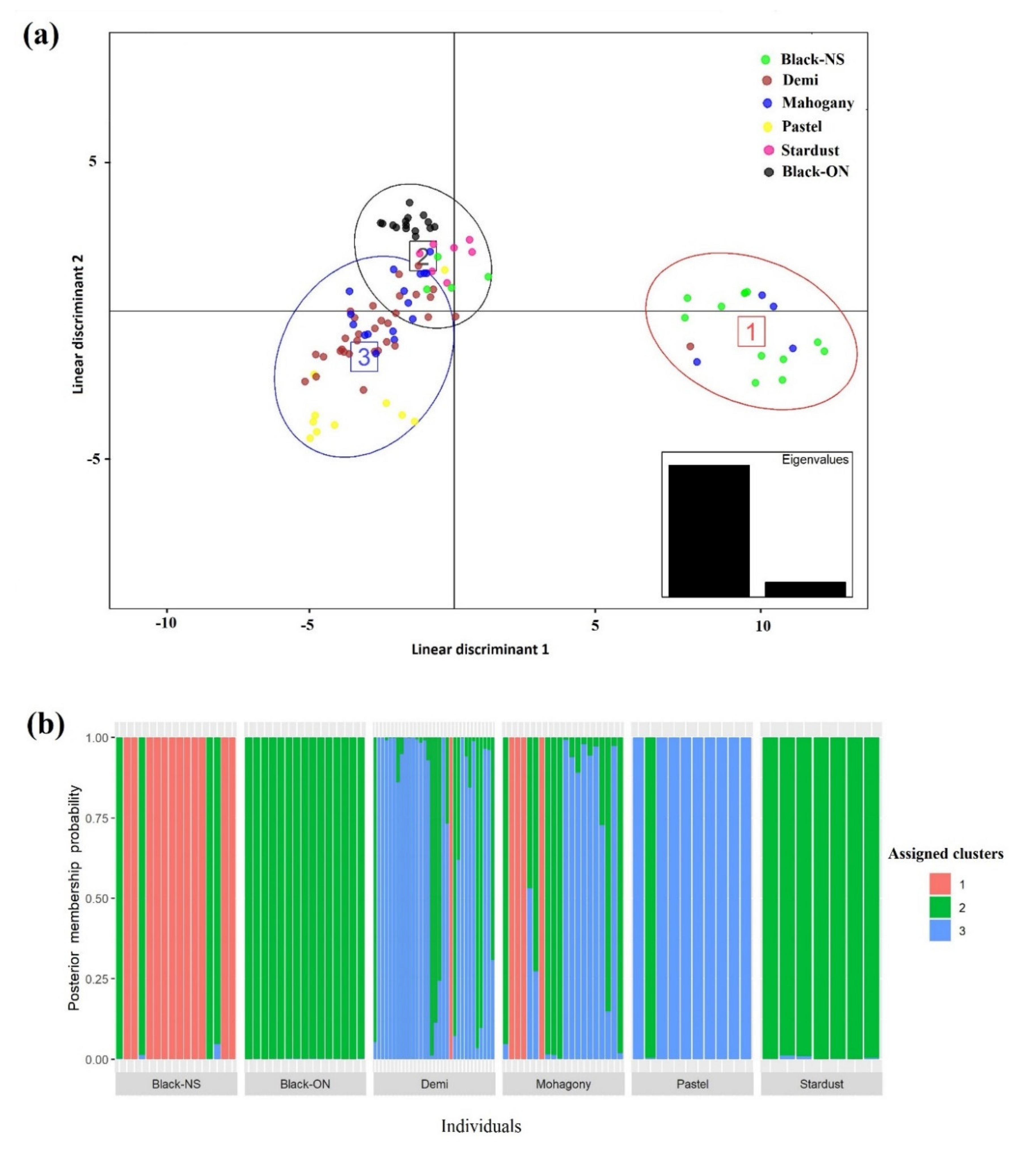 Genes 12 00258 g001